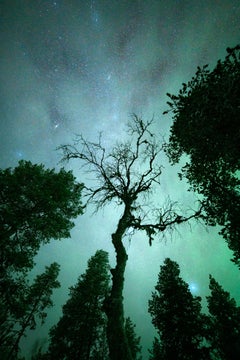Northern Lights in Sweden. Green small photo by Anna Dobrovolskaya-Mints