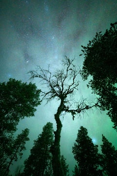 Lampes du Nord en Suède. Petite photo verte d'Anna Dobrovolskaya-Mints