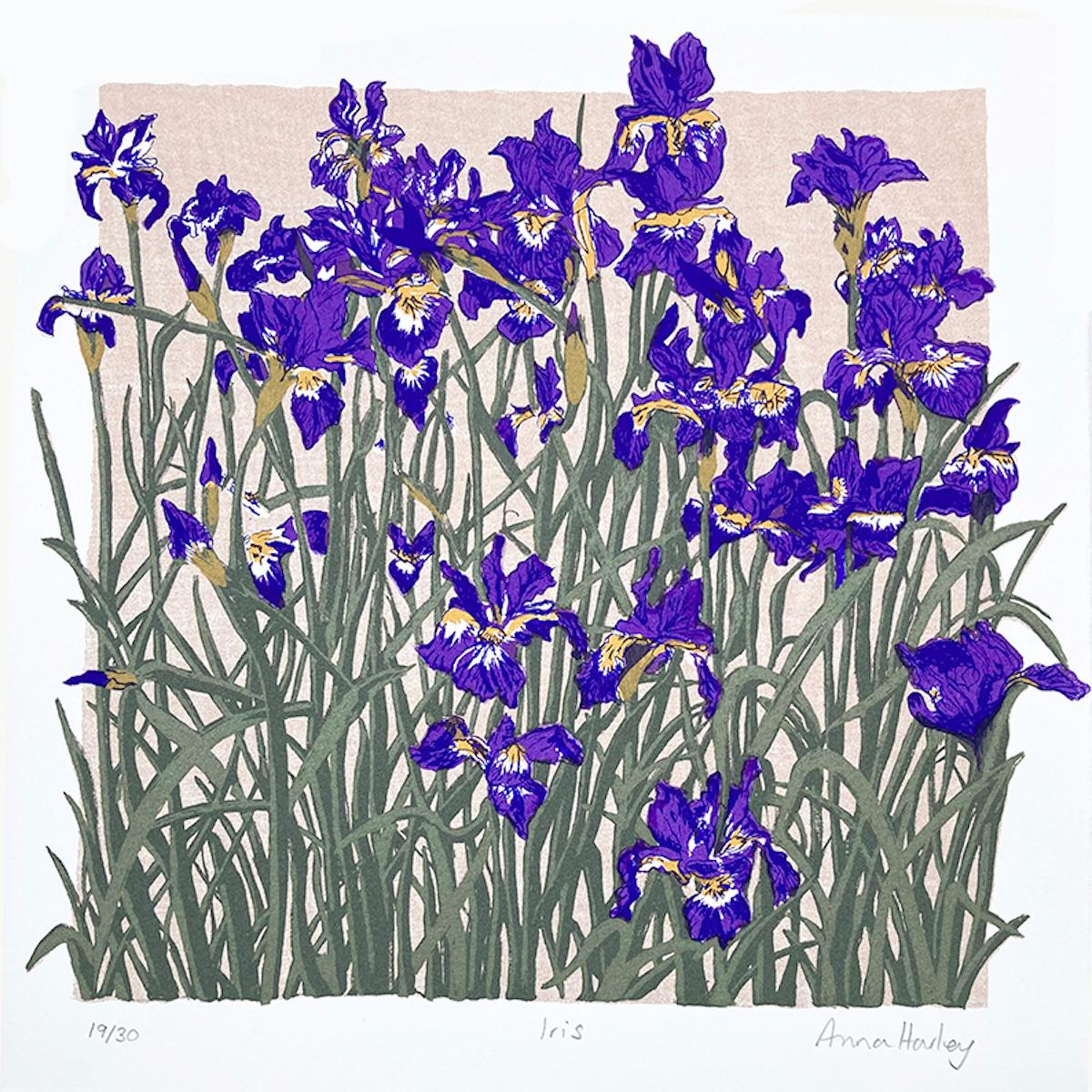 Anna Harley  Landscape Print - Iris by Anna Harley, Limited Edition Print, Botanical, Floral Art, Nature 