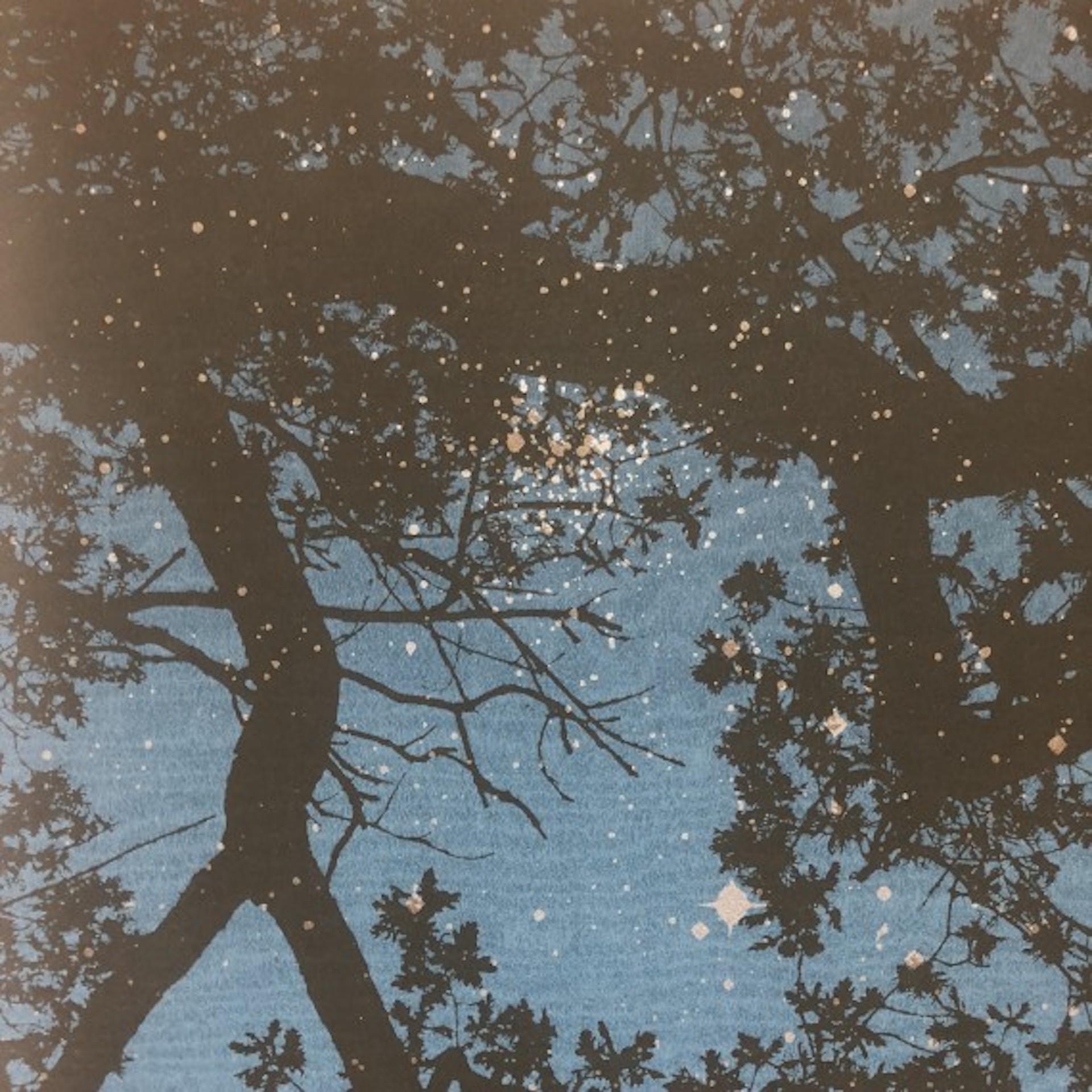 Anna Harley, Midsummer Night, Contemporary Affordable Art, Tree Print For Sale 1