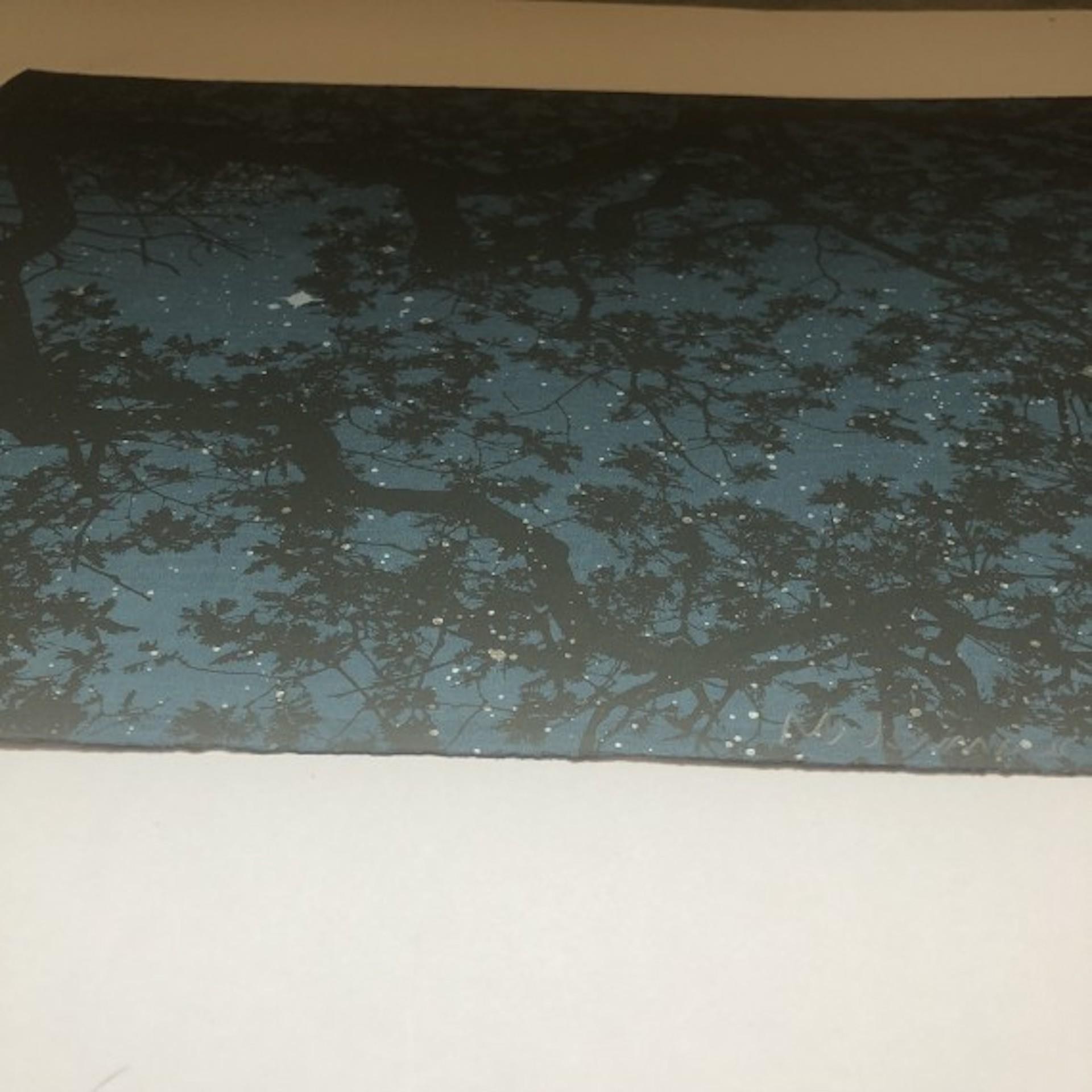 Anna Harley, Midsummer Night, zeitgenössische, erschwingliche Kunst, Baumdruck im Angebot 5