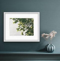 Anna Harley, Ombra Mais, Limited edition print