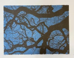 Anna Harley, Noche estrellada (grande) , Edición limitada, Arte asequible