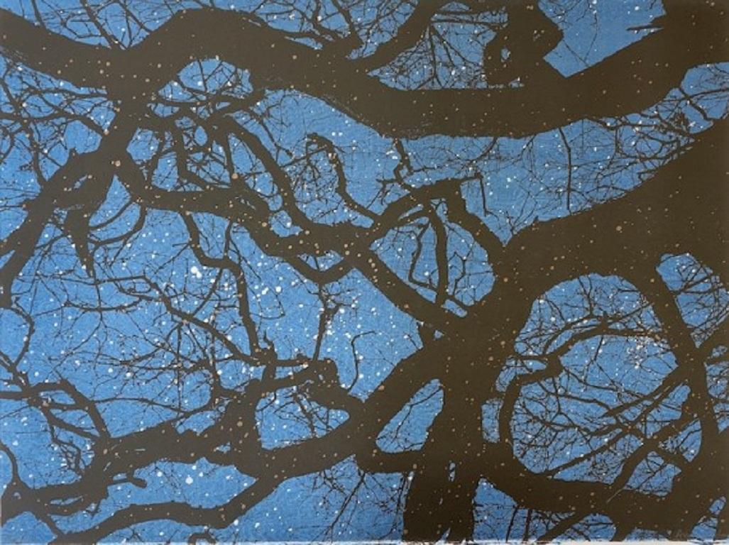 Anna Harley, Starry Night (groß), Druck in limitierter Auflage, preisgekrönte Kunst