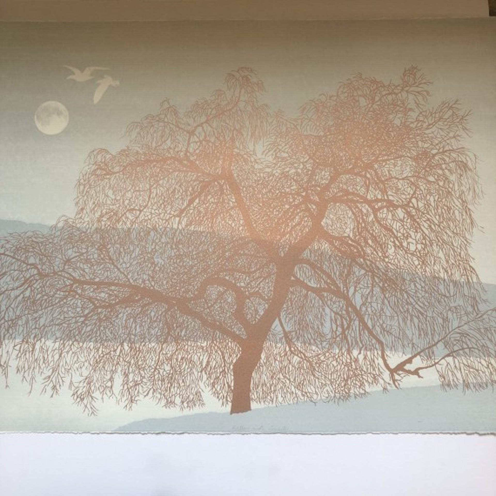 Anna Harley, Willow with Seagulls, Limited Edition Print, Tree Art For Sale 1