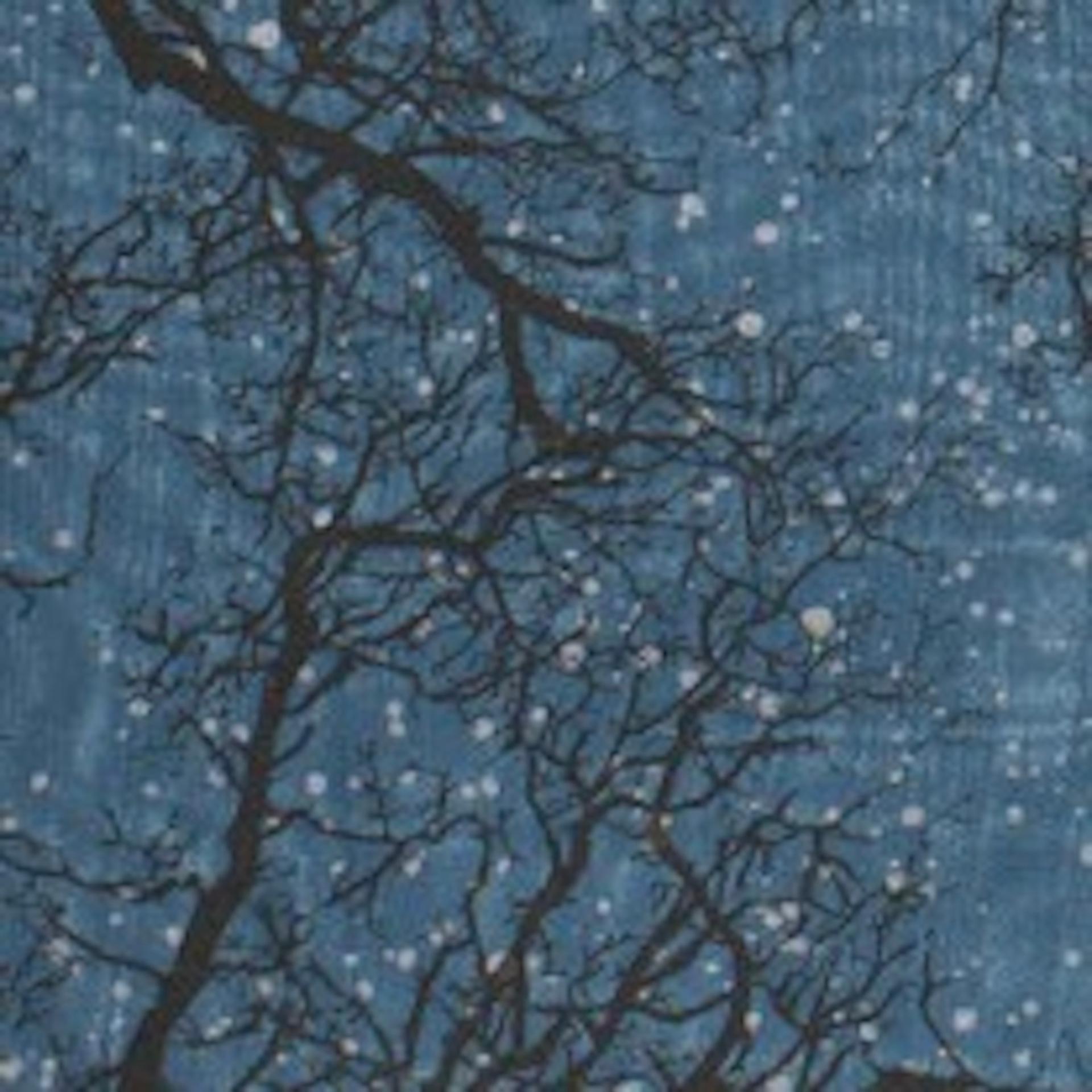 Creation IV, Anna Harley, imprimé en édition limitée, imprimé Starry Night en vente 1