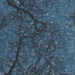 Creation IV, Anna Harley, Limited Edition Print, Starry Night Print