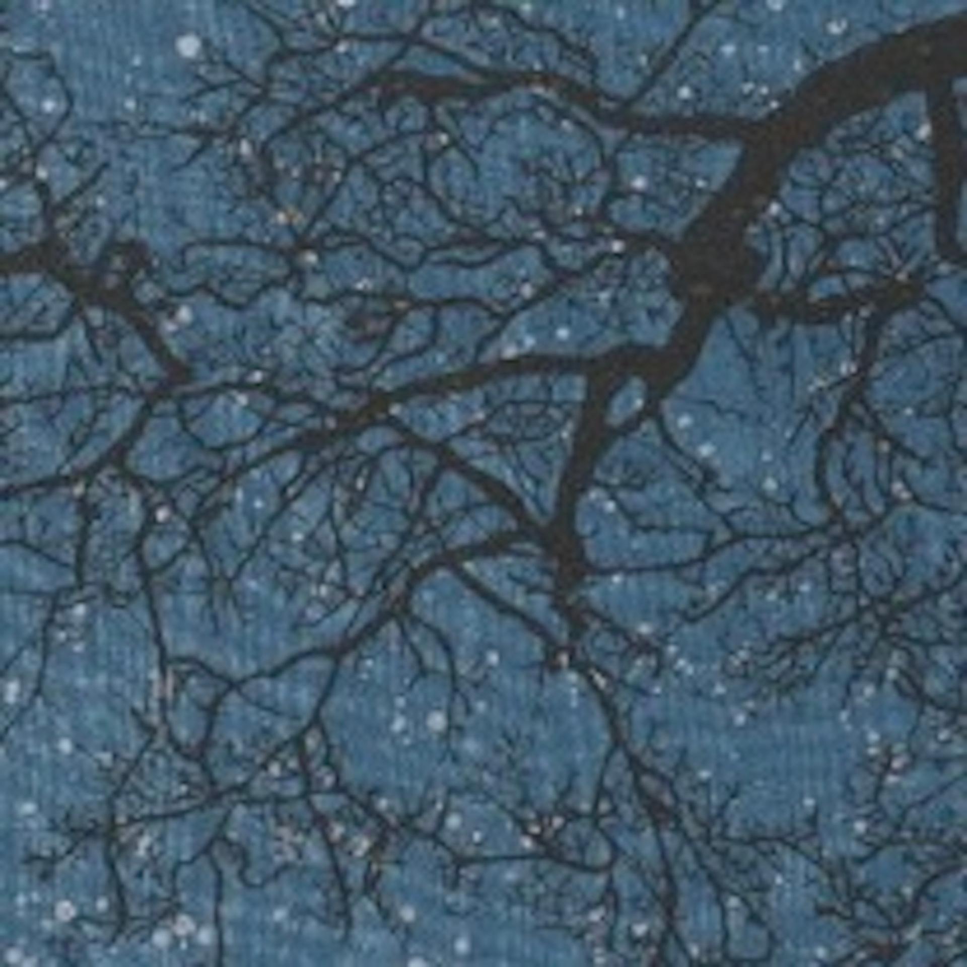 Creación IV, Anna Harley, Impresión de edición limitada, Impresión de Noche estrellada en venta 2