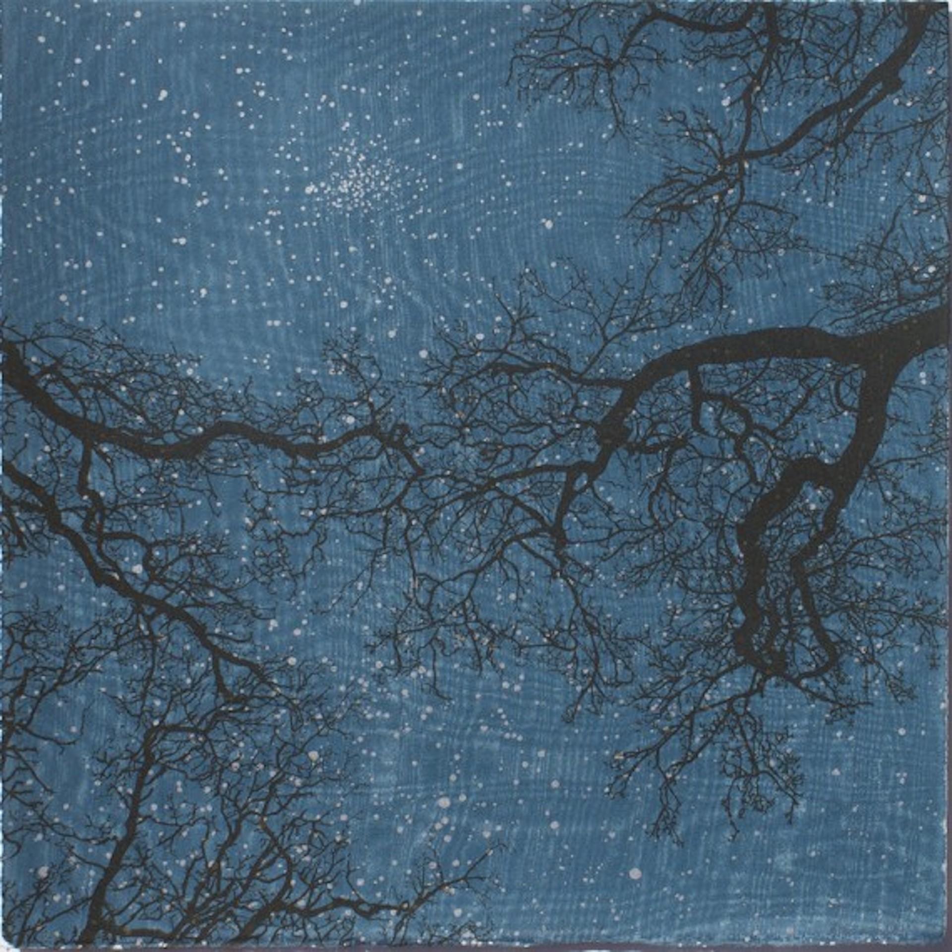 Die Schöpfung IV, Anna Harley, Druck in limitierter Auflage, Sternennachtsdruck