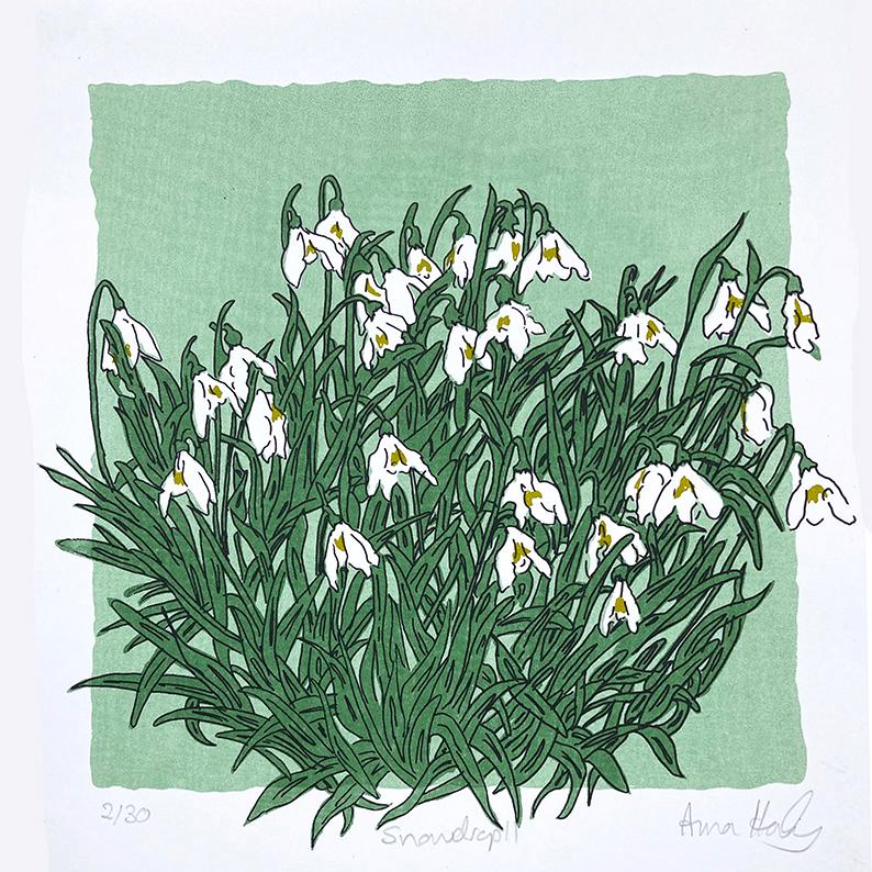 Snowdrops II von Anna Harley, Druck in limitierter Auflage, floral, botanisch 