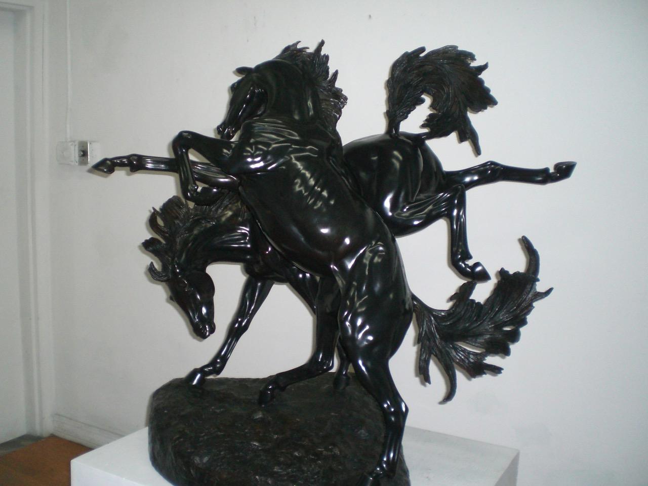 Fillies Playing For Sale 2