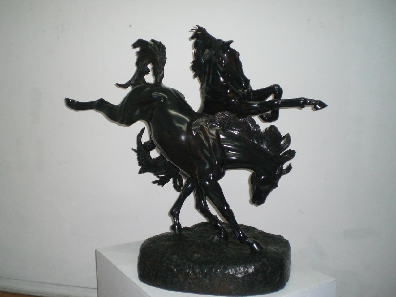 Fillies Playing For Sale 3