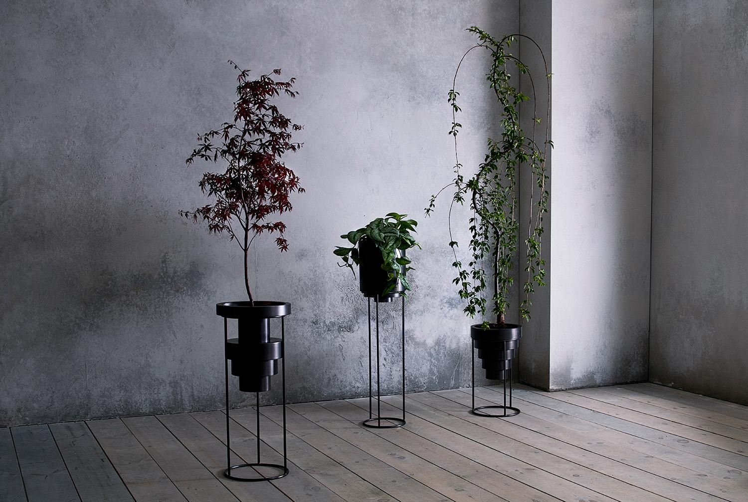 These geometric, elevated planters are available in three different configurations. Sold individually with stand. Please fill base with rocks to allow for proper draining. Plant stand heights are cut to your requirements.
Please note lead times for