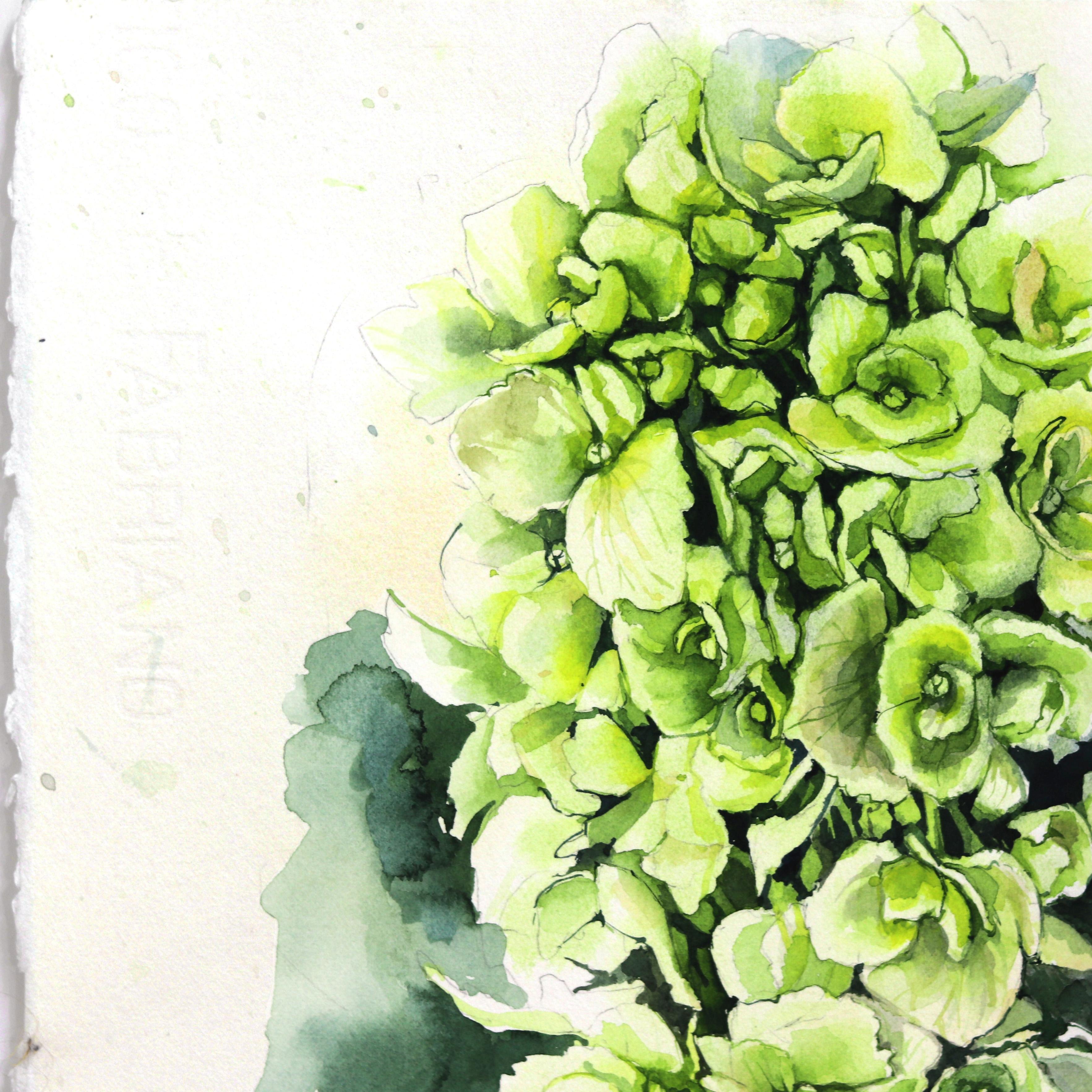 Ortensie verdi e bianche - Natura morta floreale dipinta ad acquerello - Painting di Anna Kudriashova