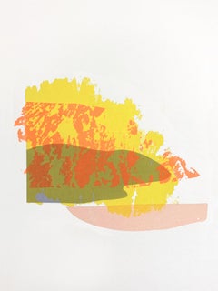 CREEK 1 - Serigrafia moderna del paesaggio acquatico, gioioso e colorato. Modifica. 2/6