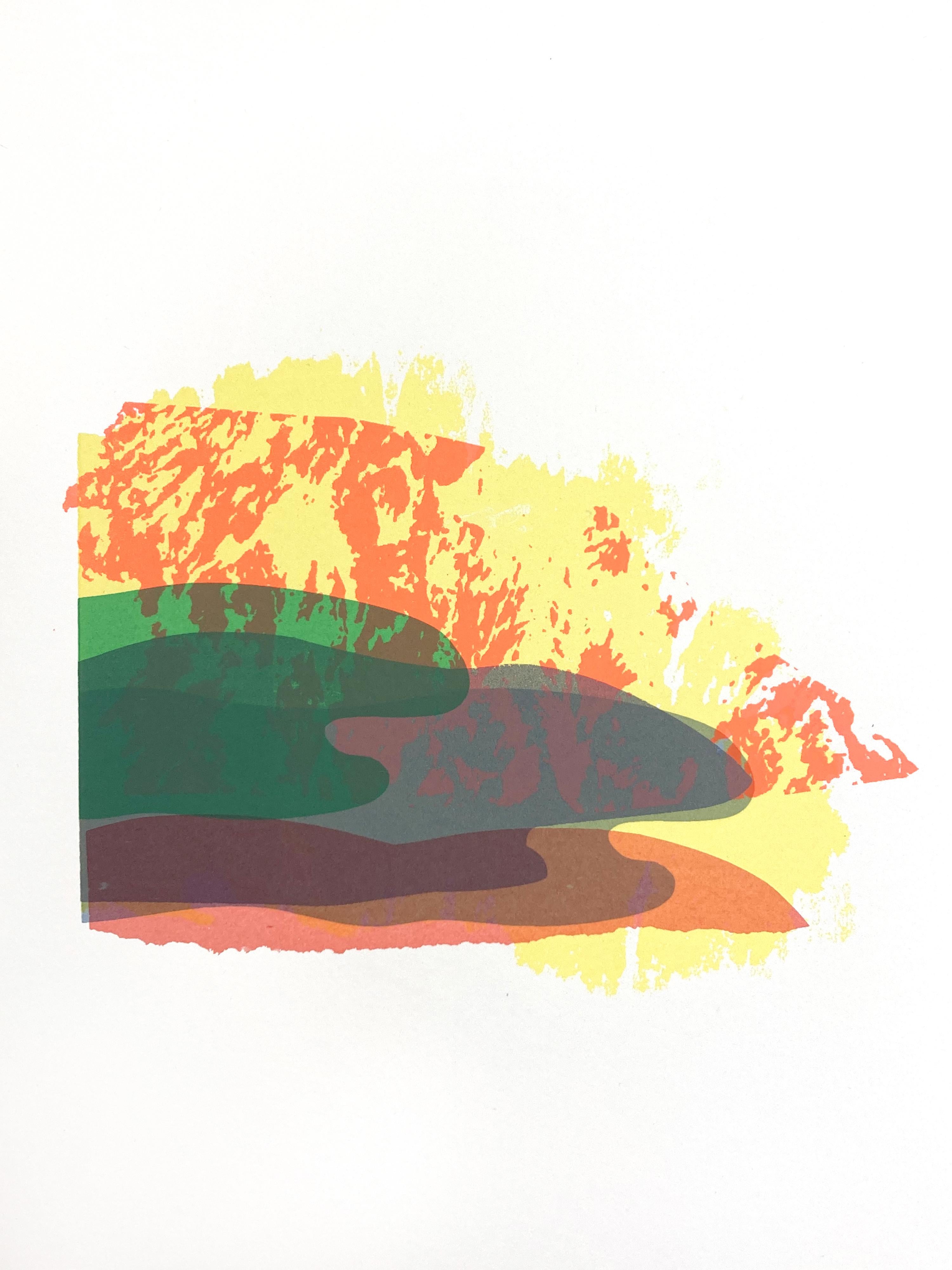 CREEK 2 - Serigrafia moderna del paesaggio acquatico, gioioso e colorato. Modifica. 3/6