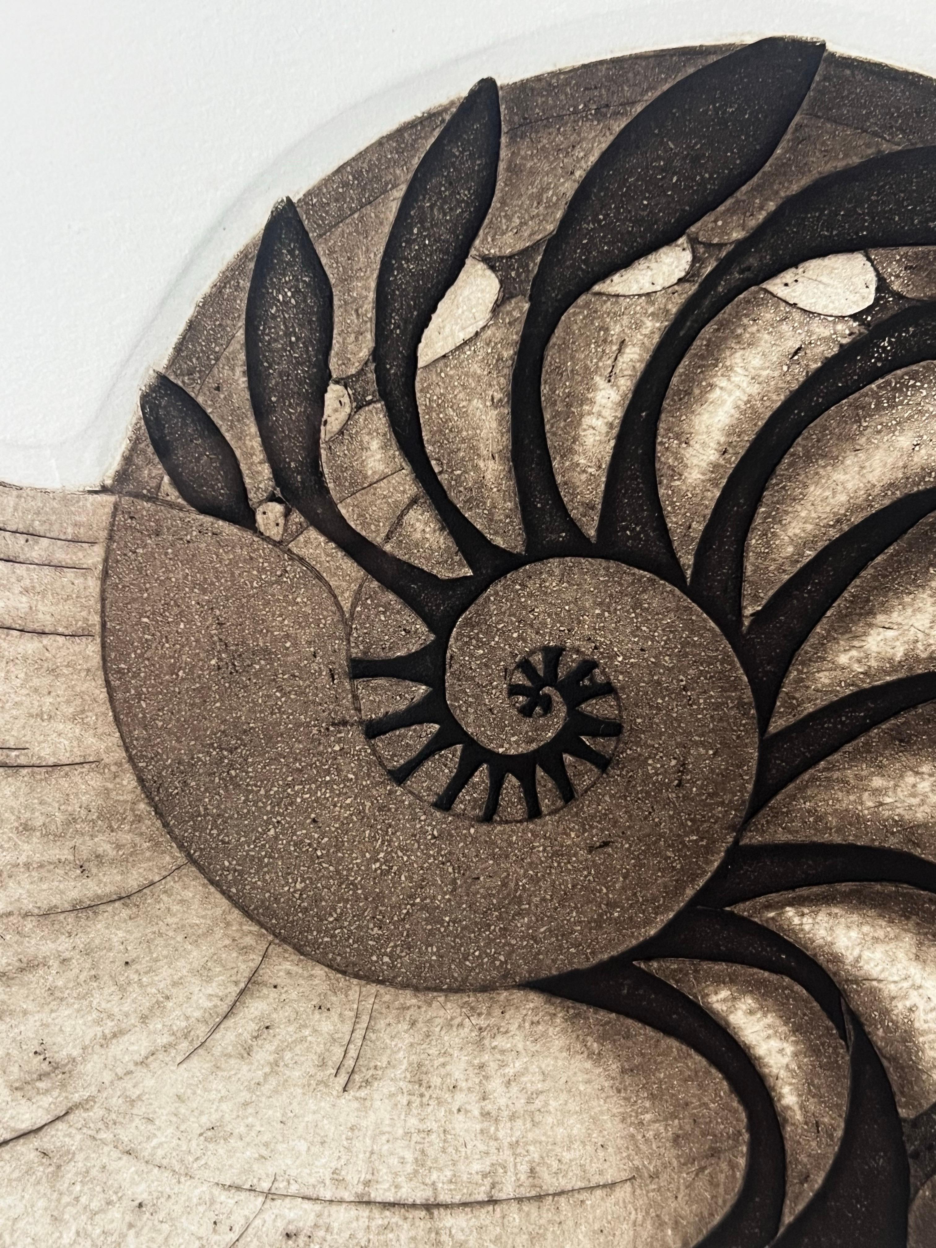 Conchiglia Nautilus Senza Titolo Stampa in edizione limitata di Anna Loudon, incorniciata e numerata - Print Naturalismo di Anna Loudon 