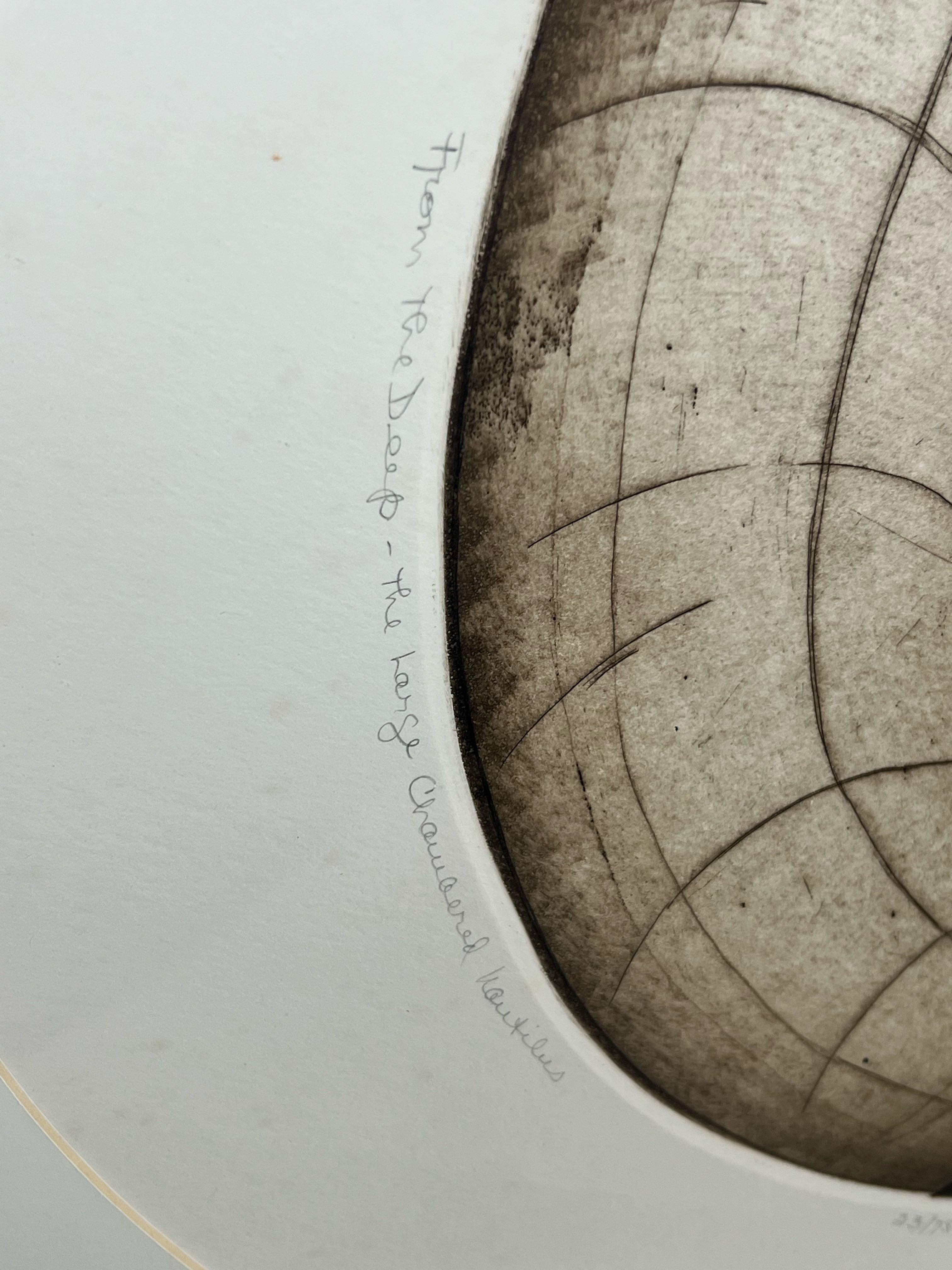 Anna Loudon (Americana, XX secolo)
Senza titolo (Nautilus Shell), firmato e numerato 23/75

Questa straordinaria stampa in edizione limitata di Anna Loudon esplora la bellezza senza tempo della geometria naturale attraverso l'elegante forma di una