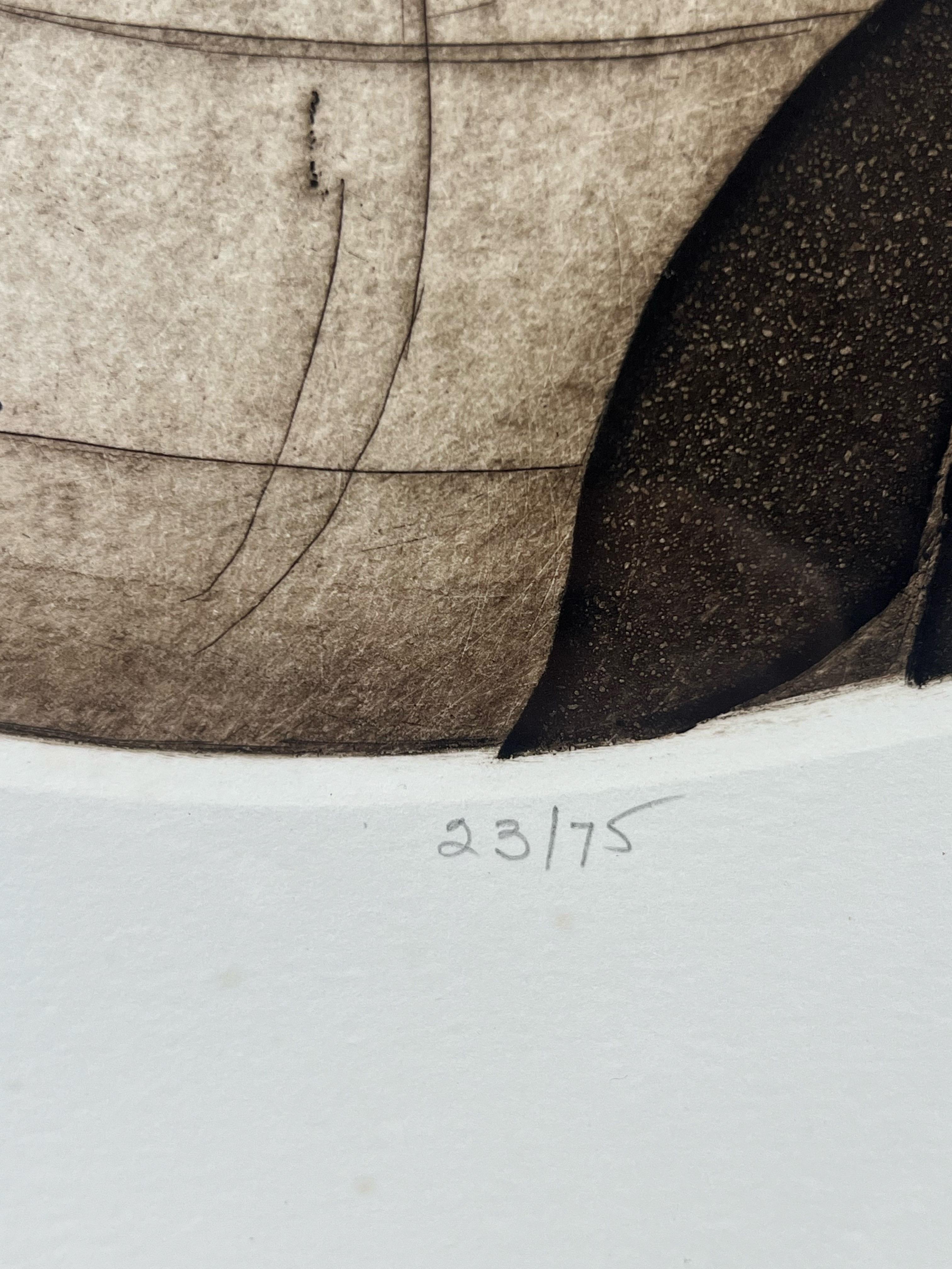 Conchiglia Nautilus Senza Titolo Stampa in edizione limitata di Anna Loudon, incorniciata e numerata in vendita 1