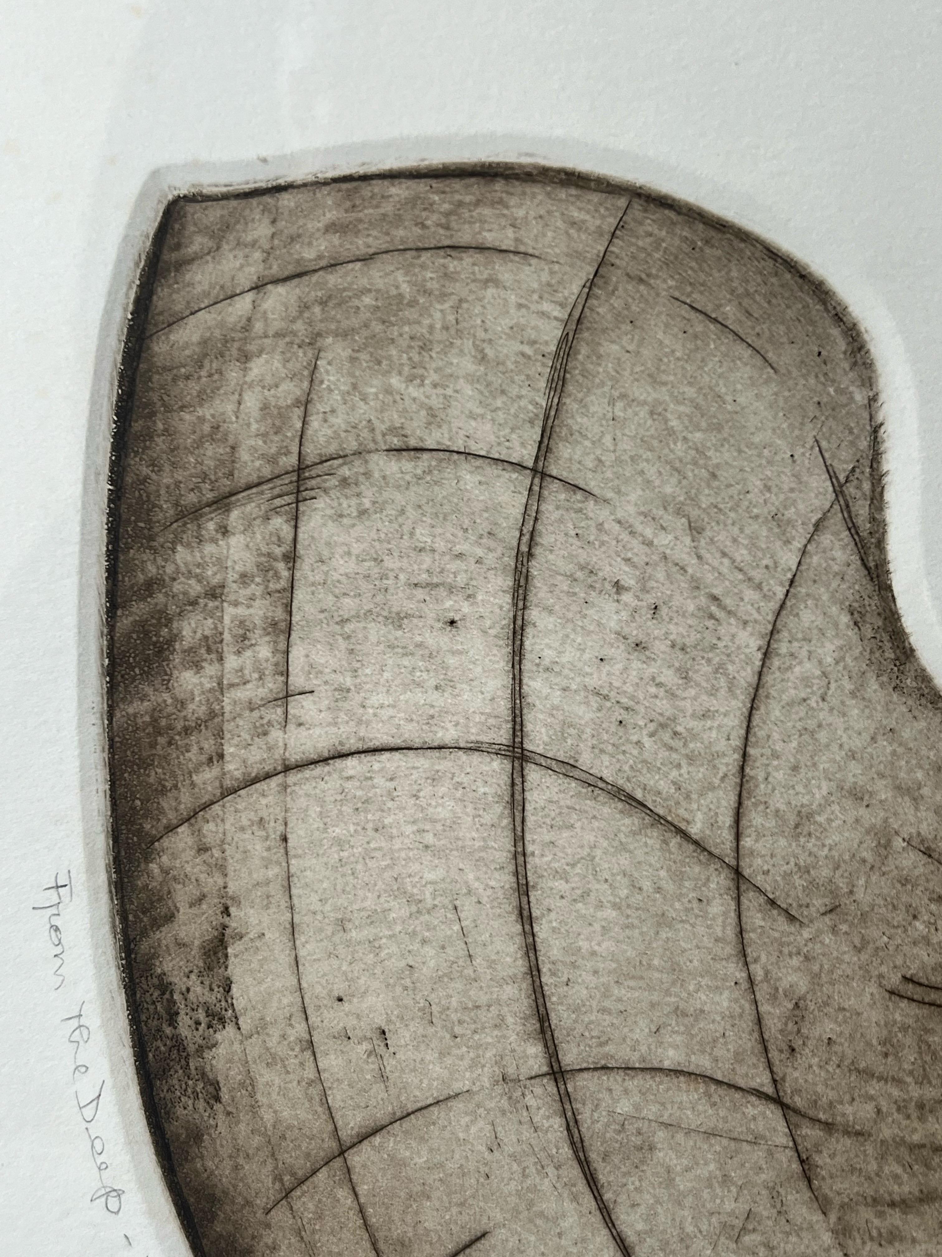 Conchiglia Nautilus Senza Titolo Stampa in edizione limitata di Anna Loudon, incorniciata e numerata in vendita 2