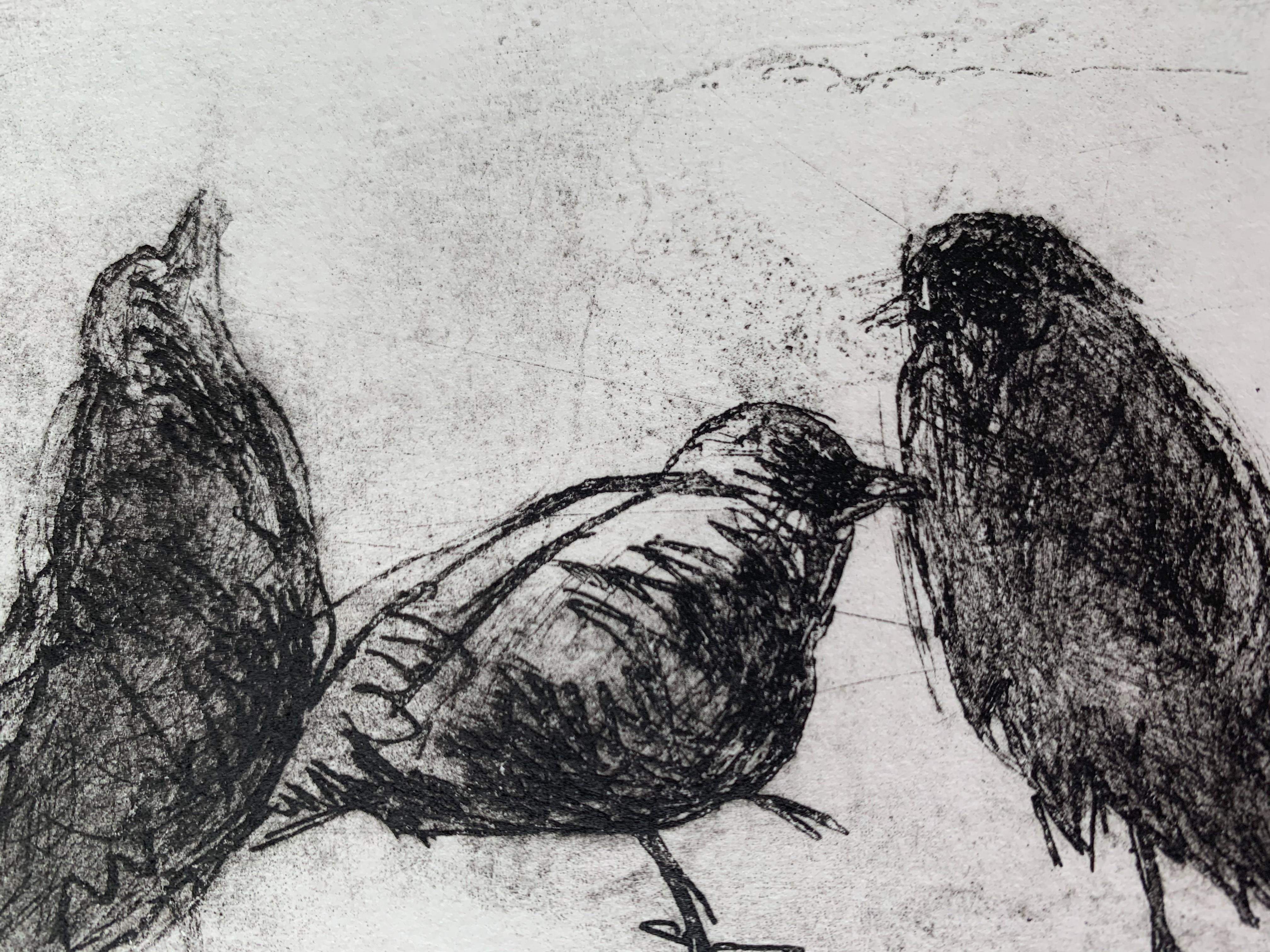 Birds - XXI century, Figurative print, Black and white, Animals For Sale 1