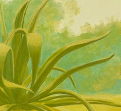 "AGAVE", MesoAmerican, Mexico, myth, leaves, Aztec, Mayan, succulent, flora