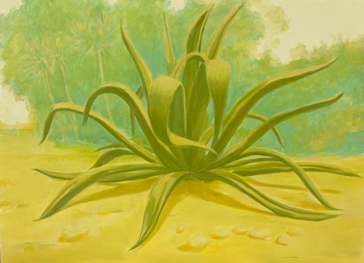 "Agave" oil on panel, contemporary landscape with large agave cactus painting