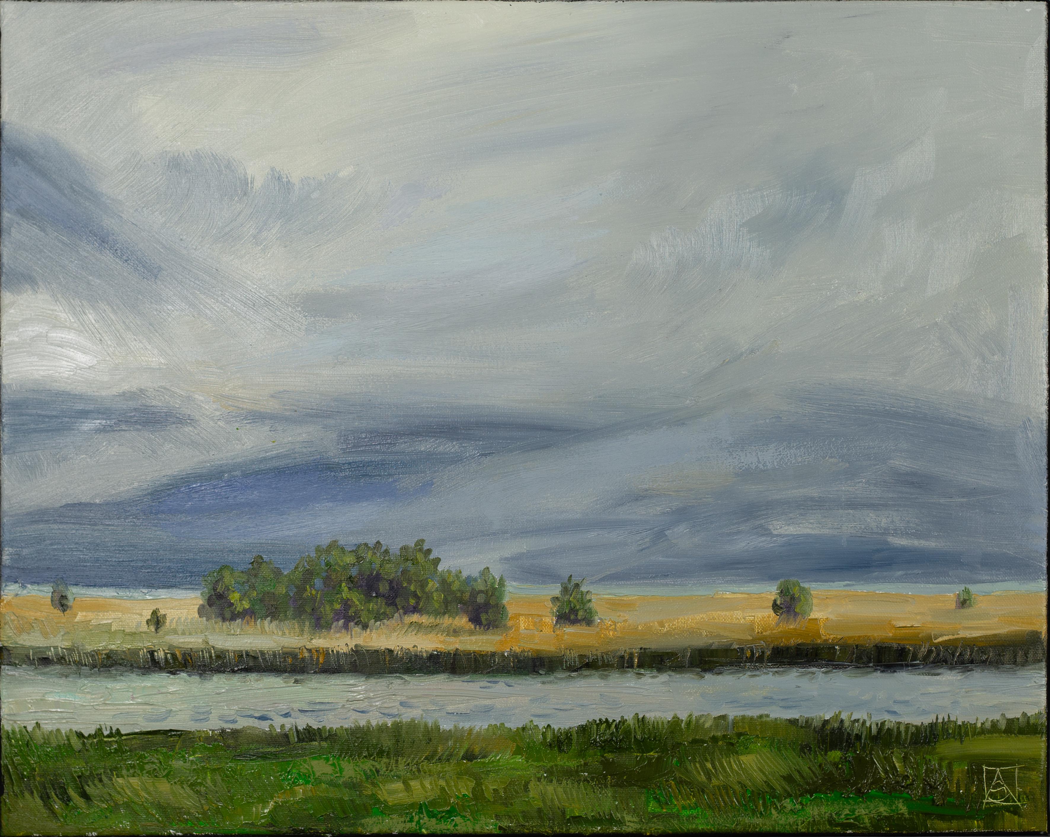 Seascape, Sweden, horizontal, nature, sea, impressionism

The painting "Before the Rain. Baltic Sea, Sweden" is a poetic and profound canvas that conveys the state of nature on the verge of change.

The sea is hidden by a thin strip on the horizon,