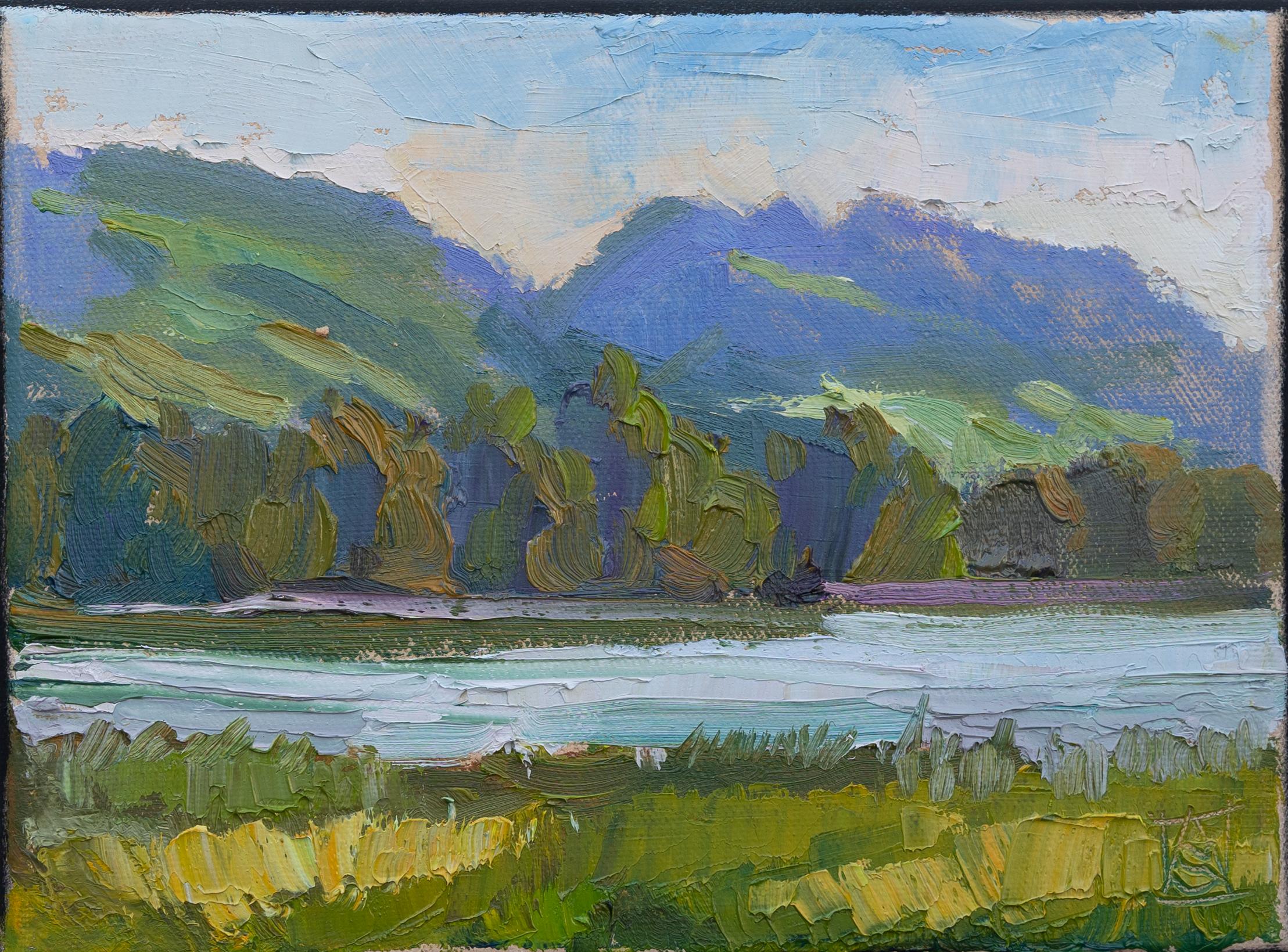 Anna Shesterikova Landscape Painting - Evening on Lake Constance