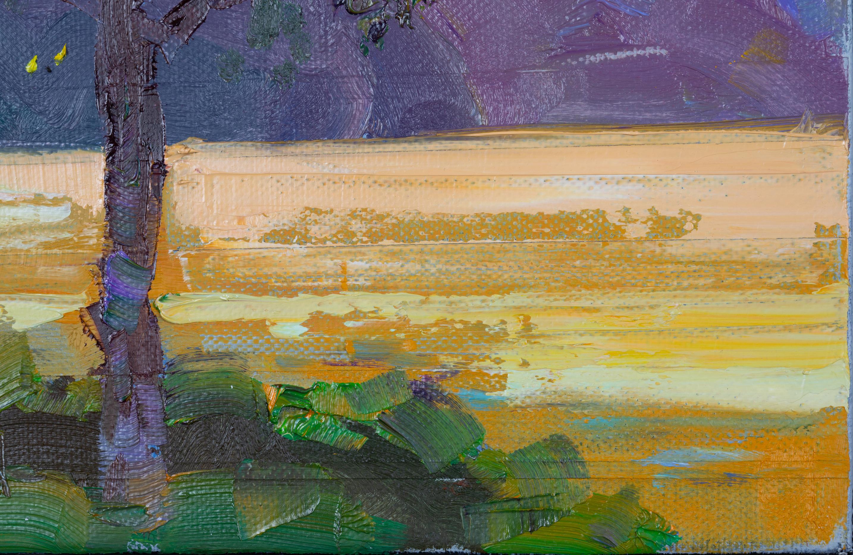 Primeras Luces. Paisaje, lago, montañas, Suiza, plaza pequeña en venta 1