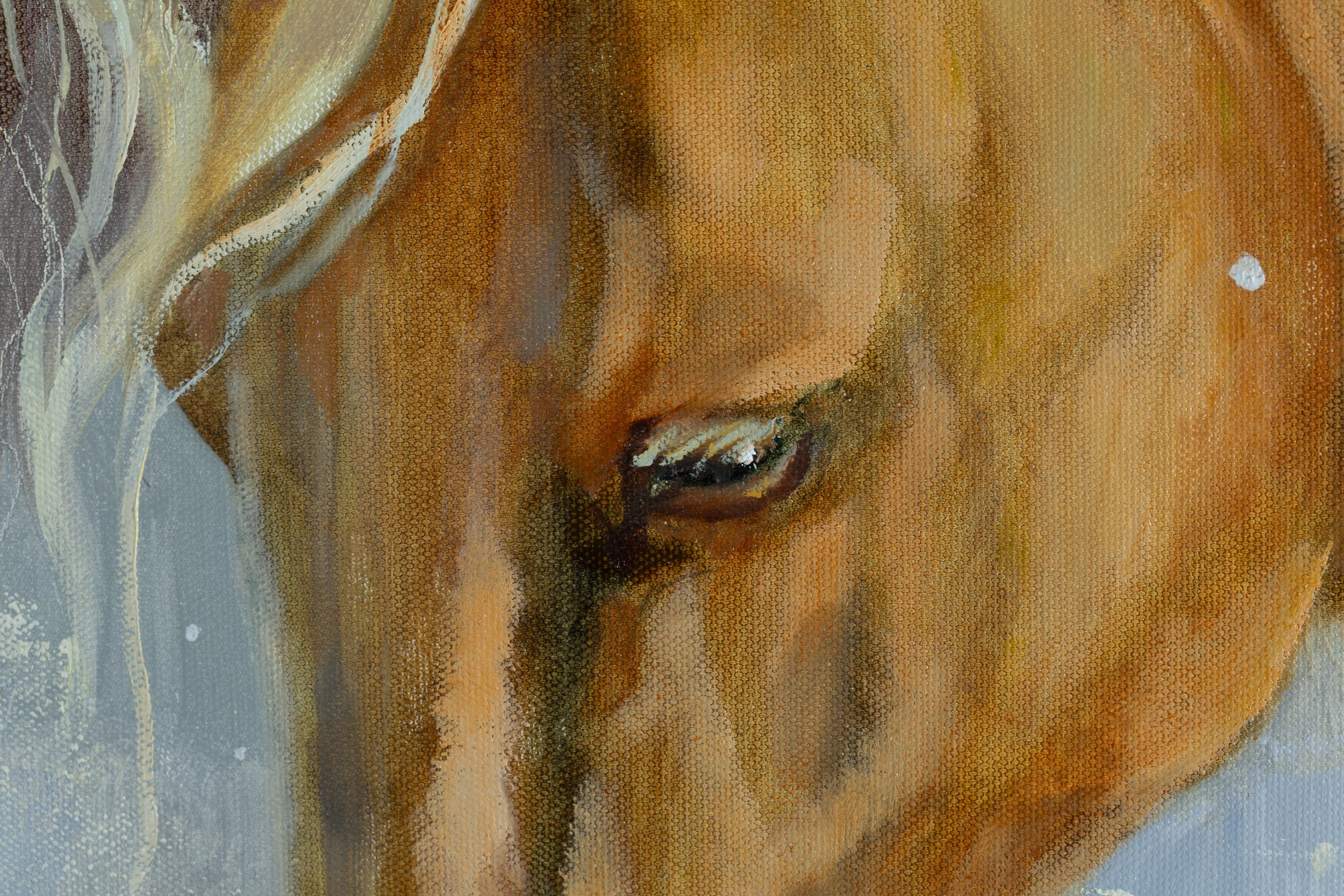 Pferd. Serie 