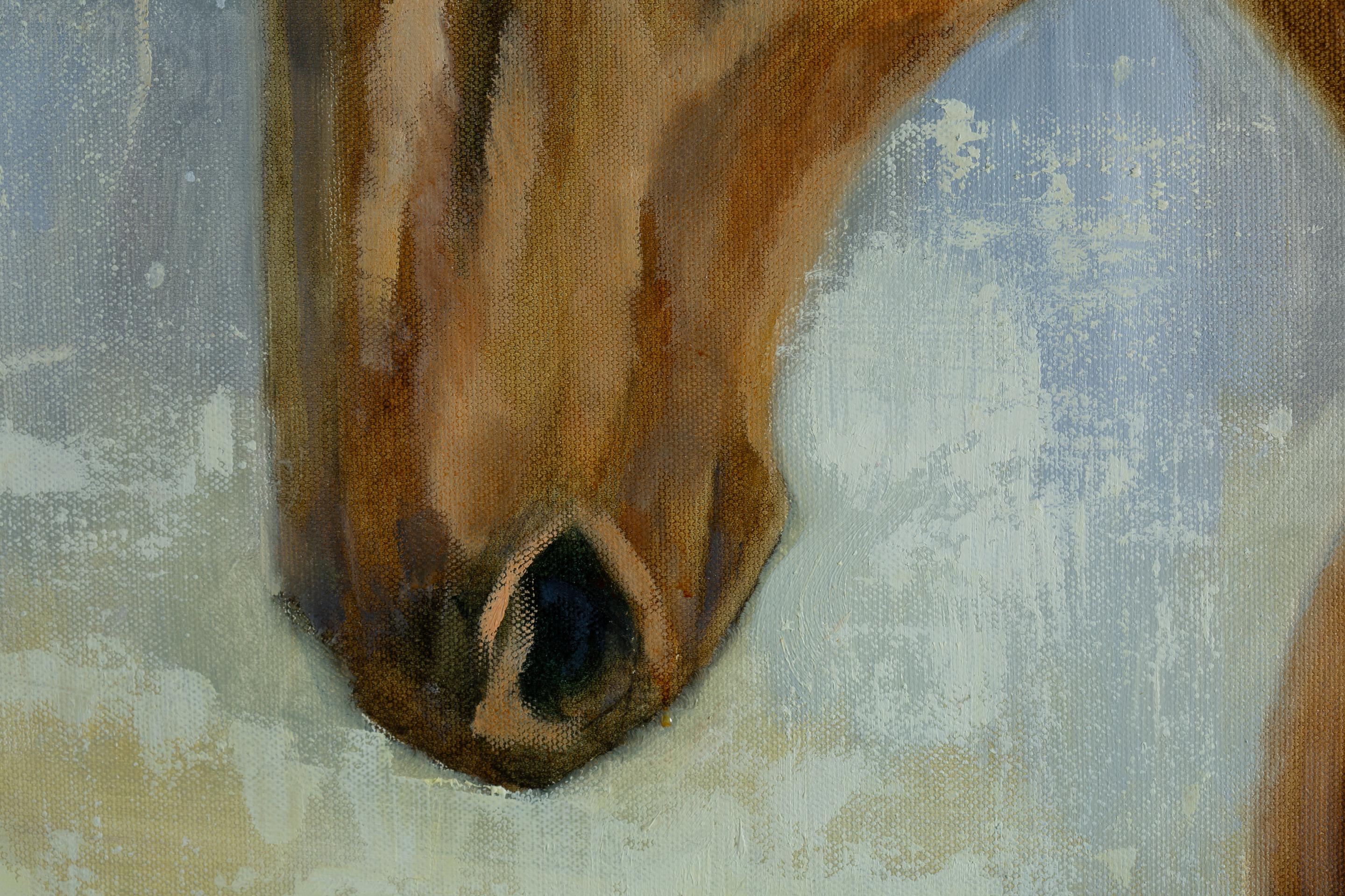 Pferd. Serie 