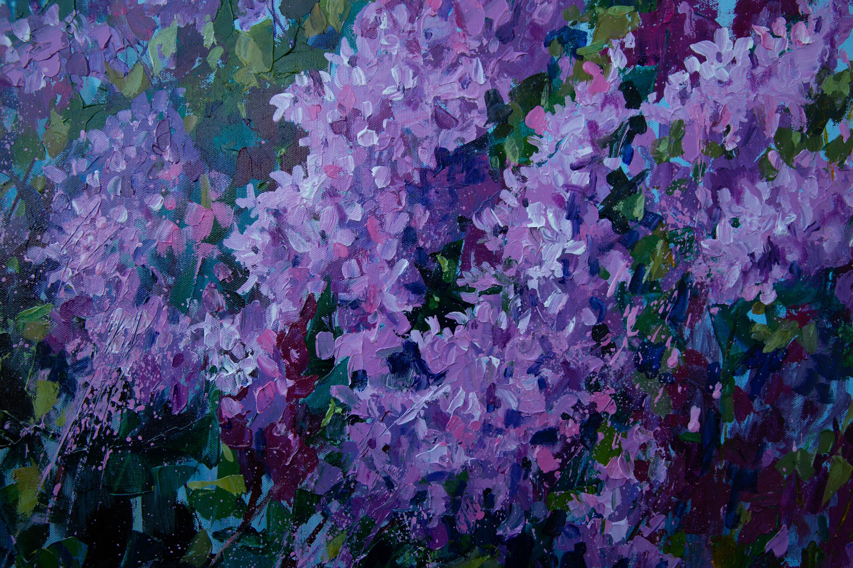 Lilac For Sale 1