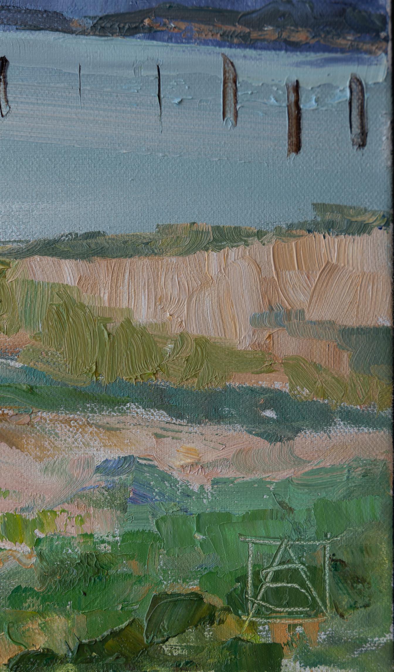 Atmosfera tranquilla sul Lago di Costanza. Paesaggio, piccolo, spiaggia, impressionismo in vendita 8