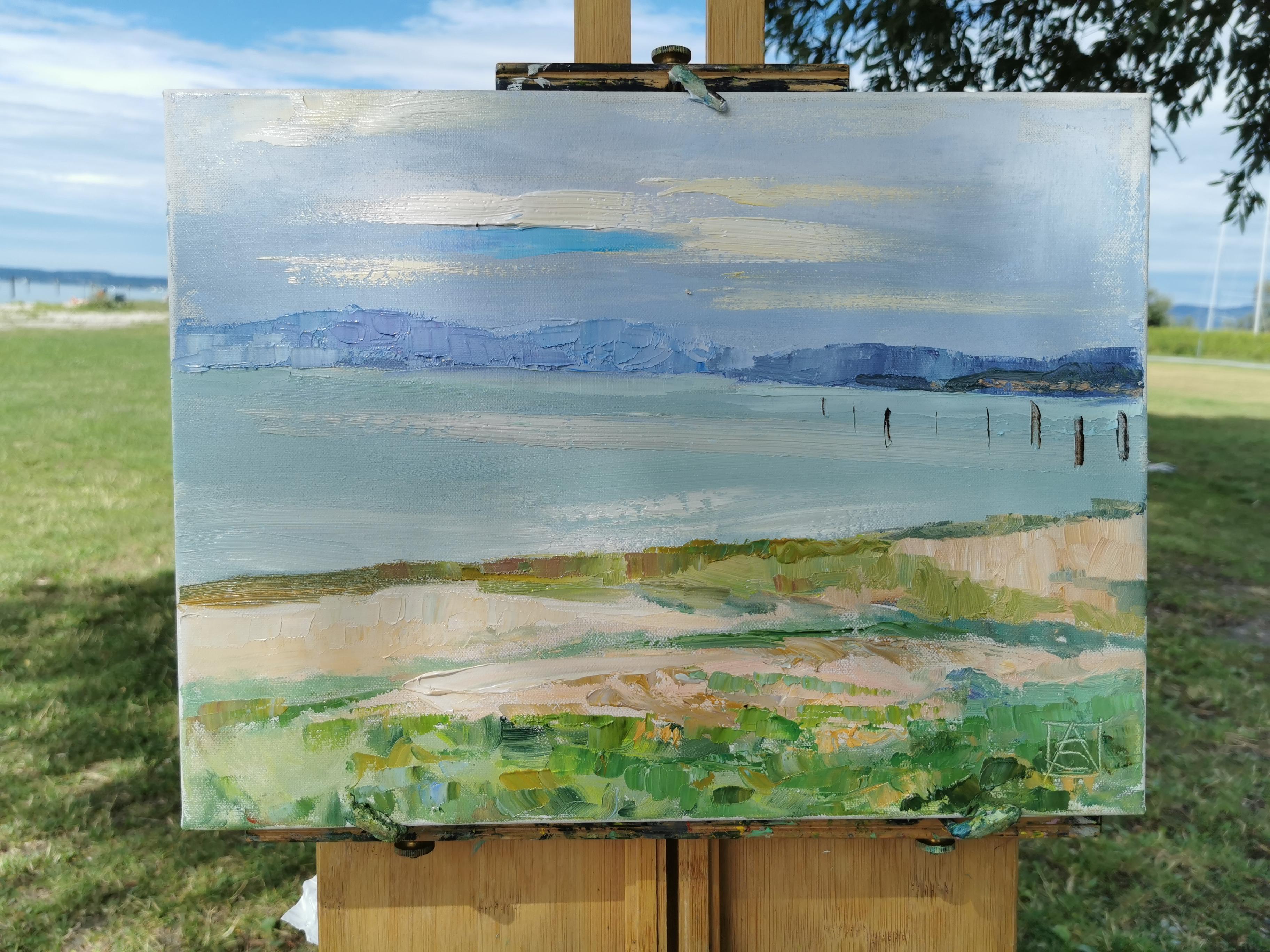 Atmosfera tranquilla sul Lago di Costanza. Paesaggio, piccolo, spiaggia, impressionismo in vendita 10