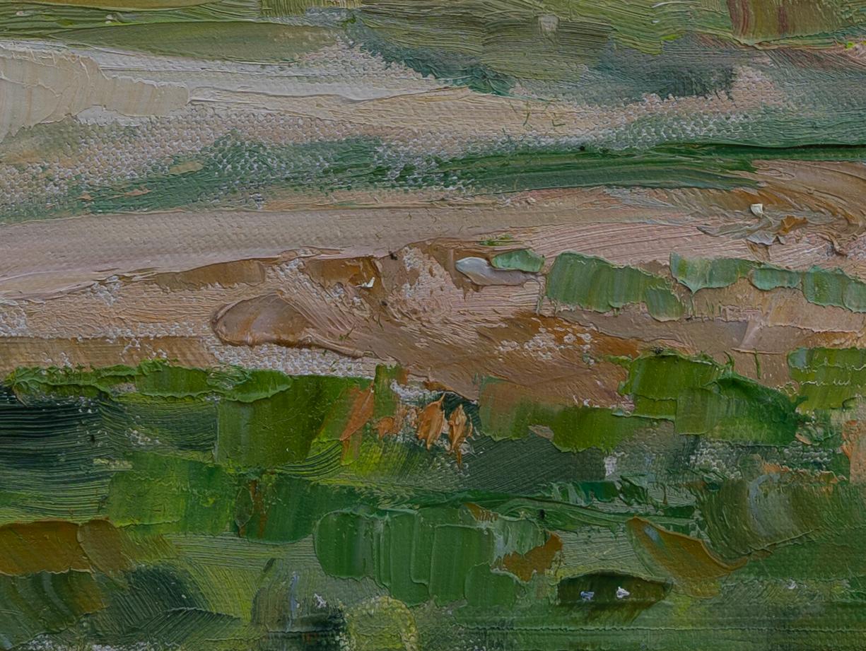 Atmosfera tranquilla sul Lago di Costanza. Paesaggio, piccolo, spiaggia, impressionismo in vendita 3