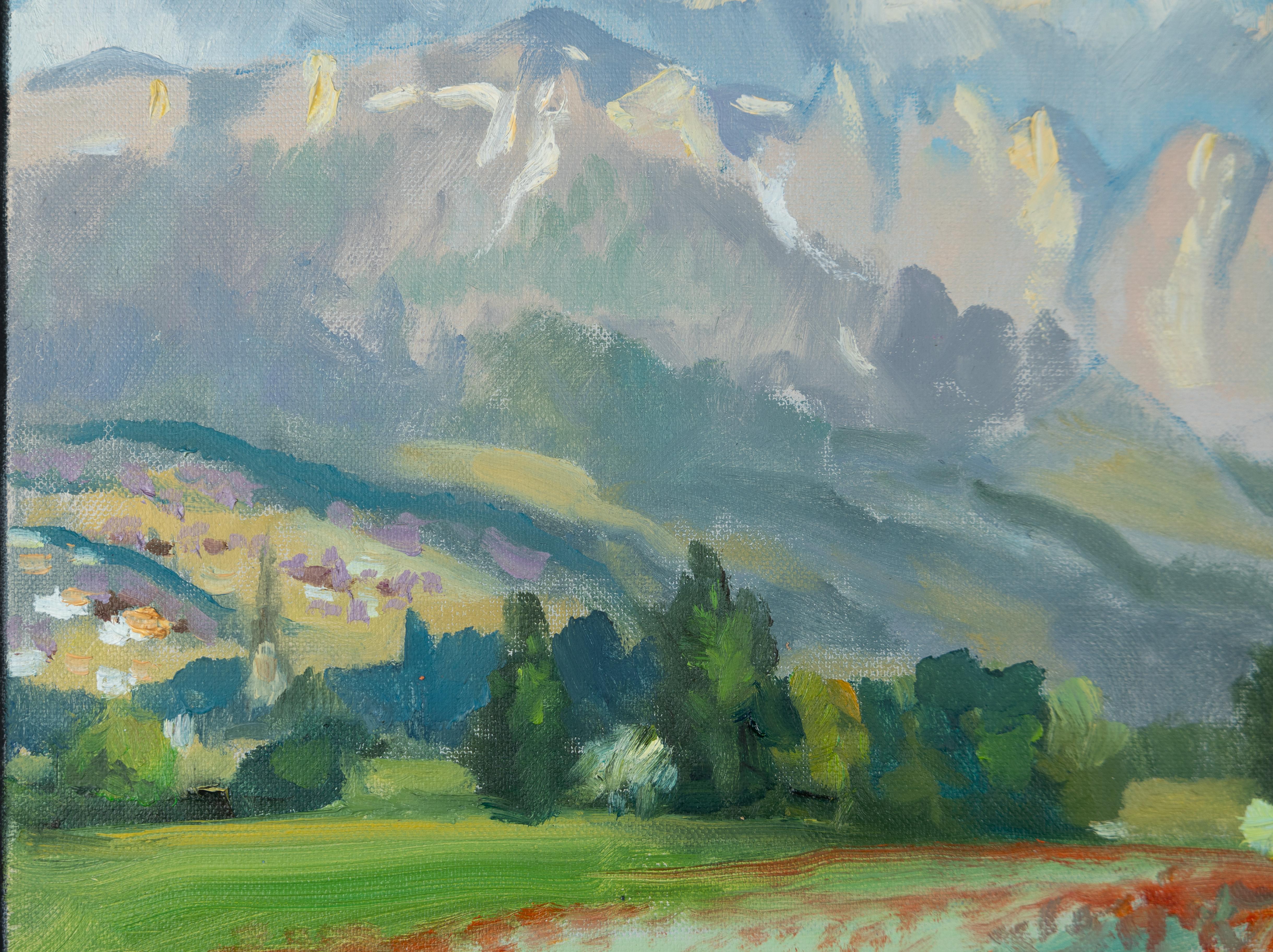 Poppies Of The Rhine Valley. Horizontal, impressionism, landscape, flowers For Sale 3