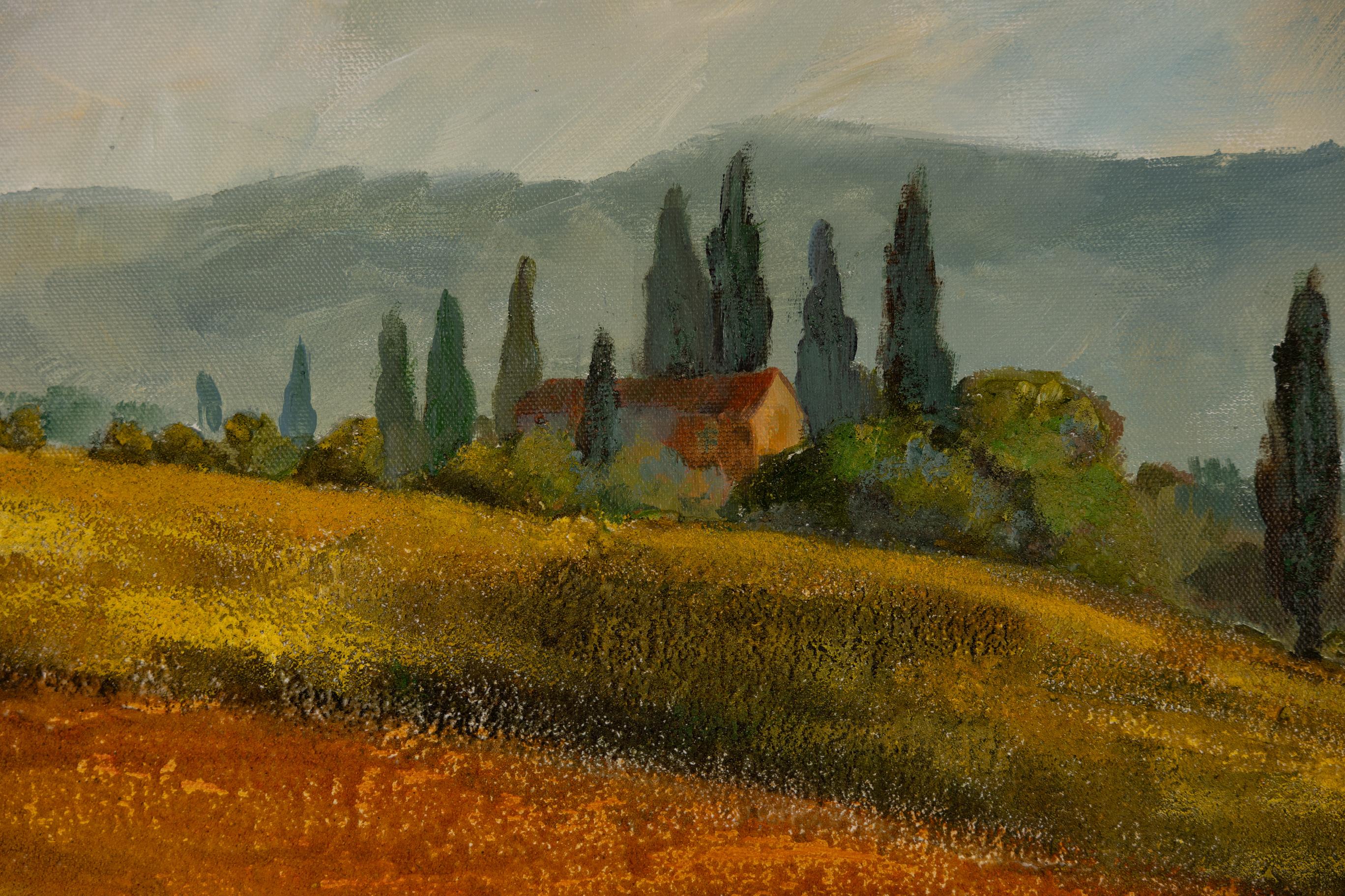 La Terra Rossa della Toscana. Acrilico, impressionismo, Italia, paesaggio, orizzontale in vendita 1