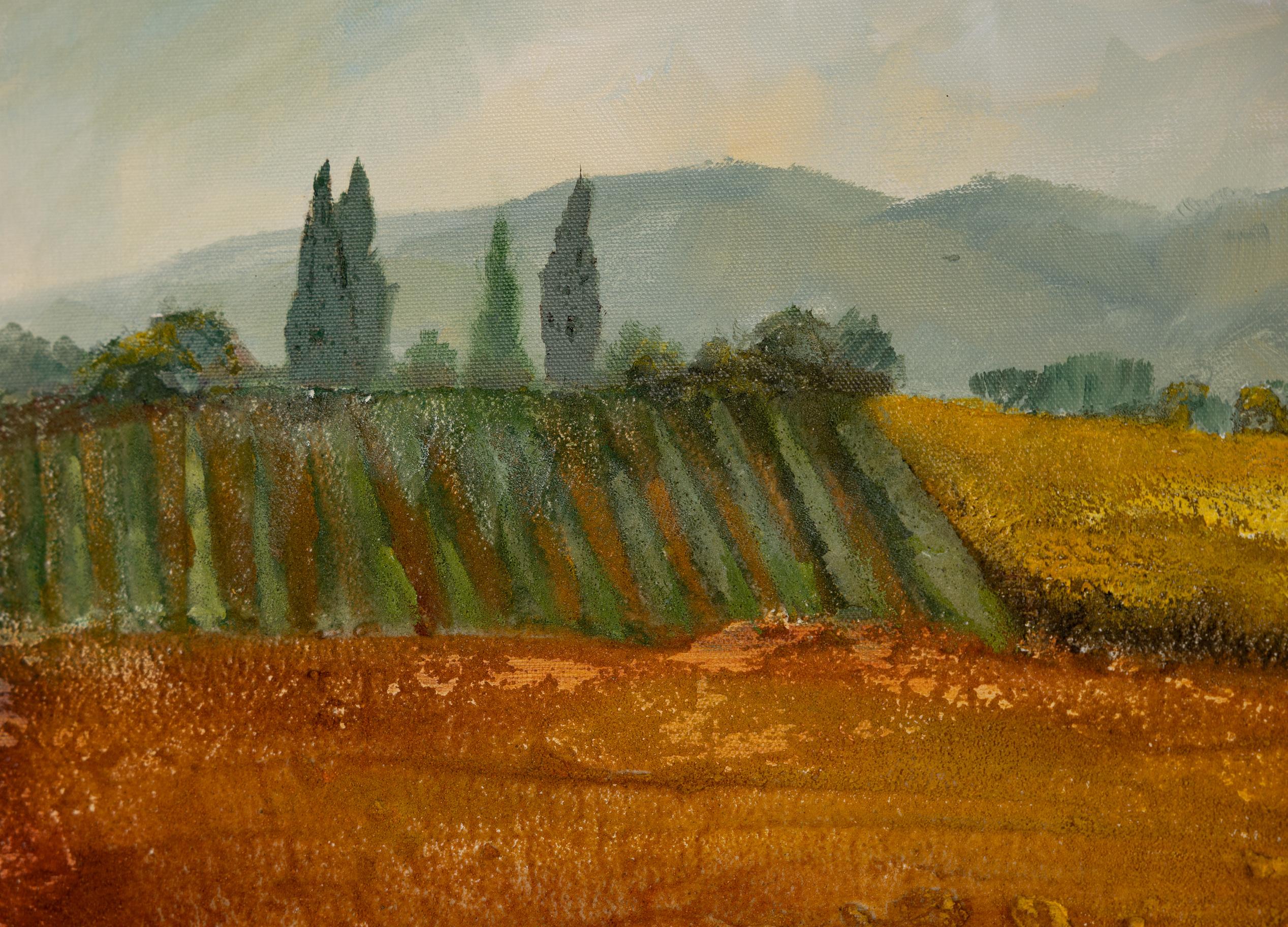 La Terra Rossa della Toscana. Acrilico, impressionismo, Italia, paesaggio, orizzontale in vendita 2
