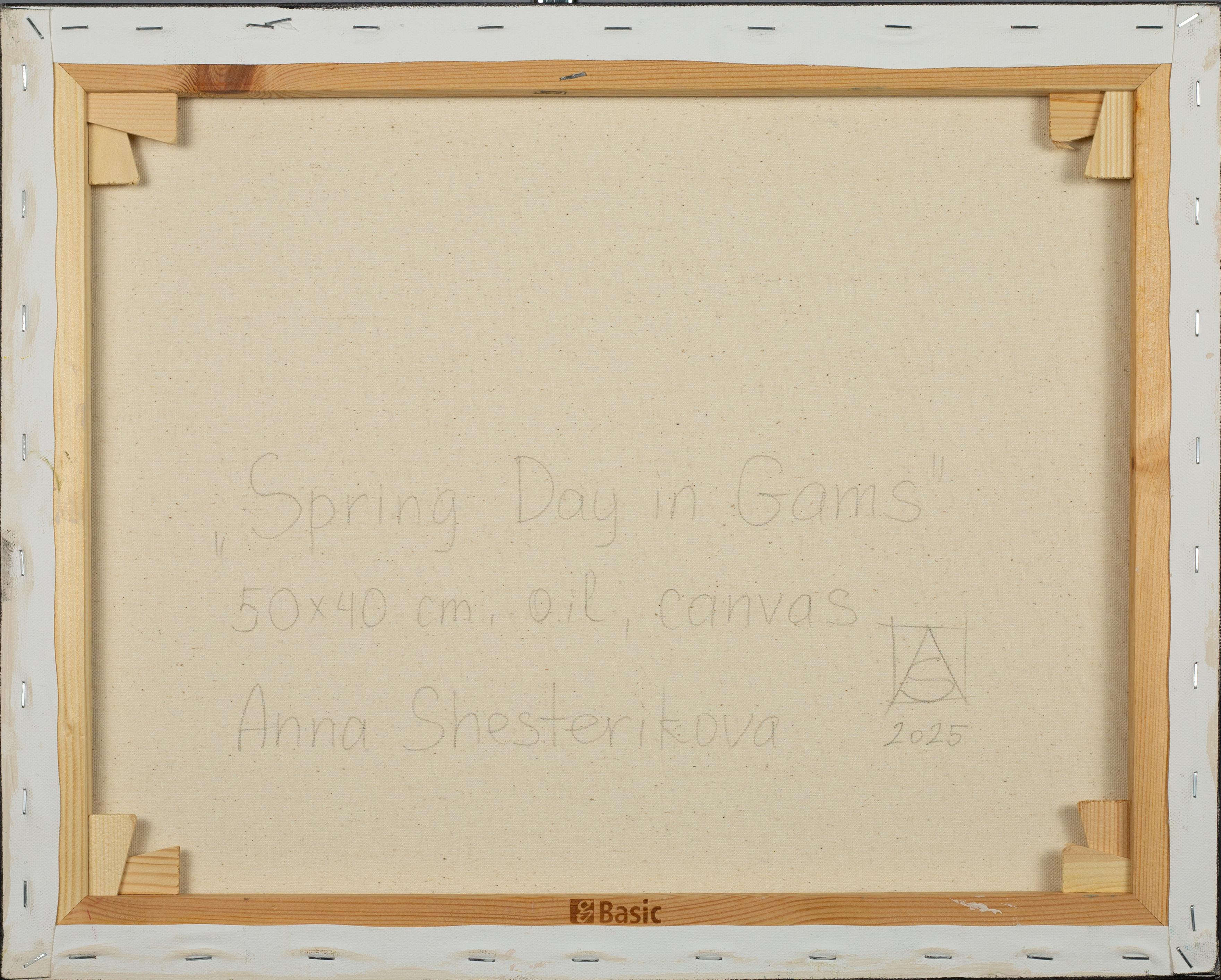 Spring Day in Gams. Mountain landscape, Alps, Switzerland. im Angebot 6