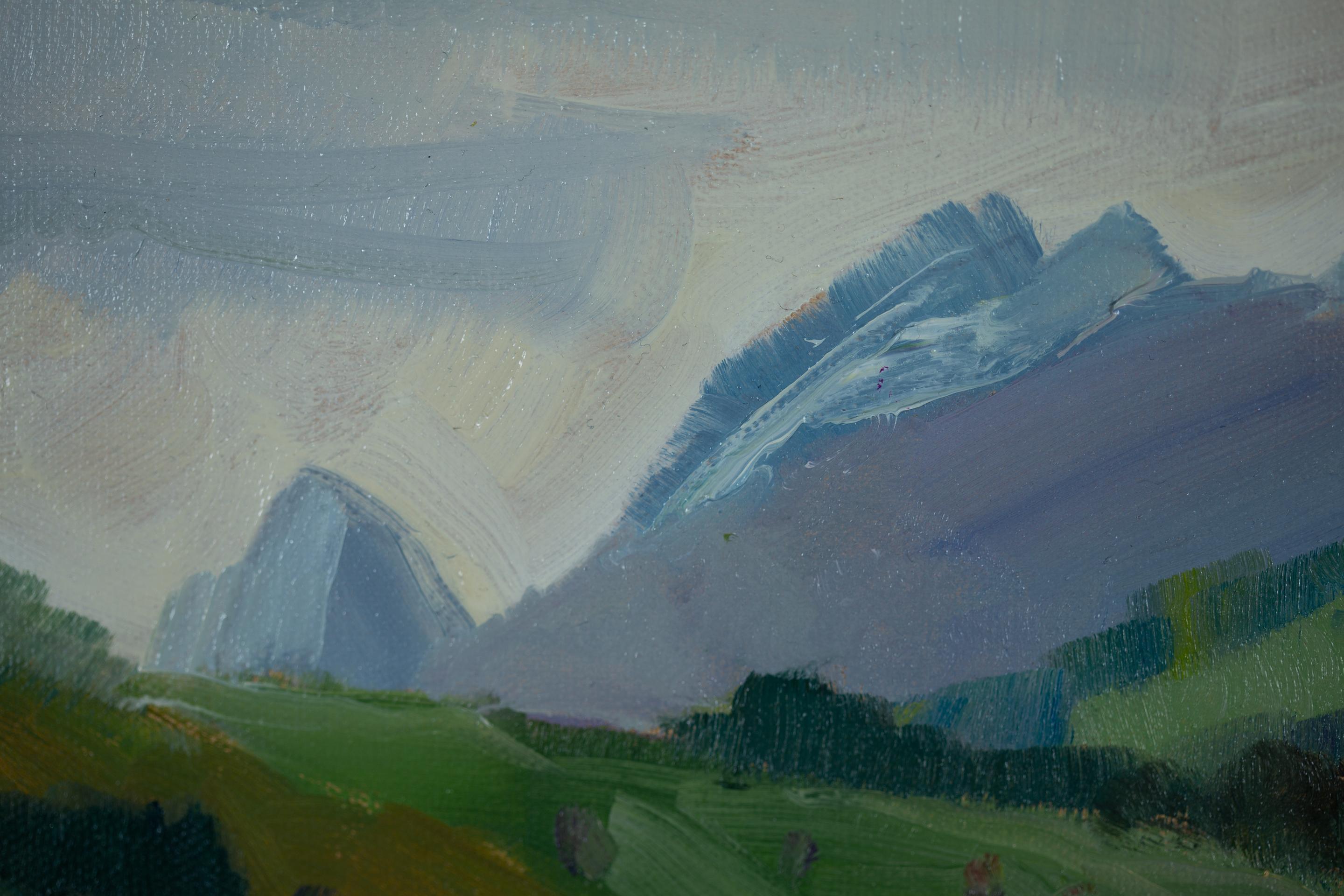 Summer in Grabs. Horizontal, mountains, Switzerland, landscape, design for wall For Sale 6