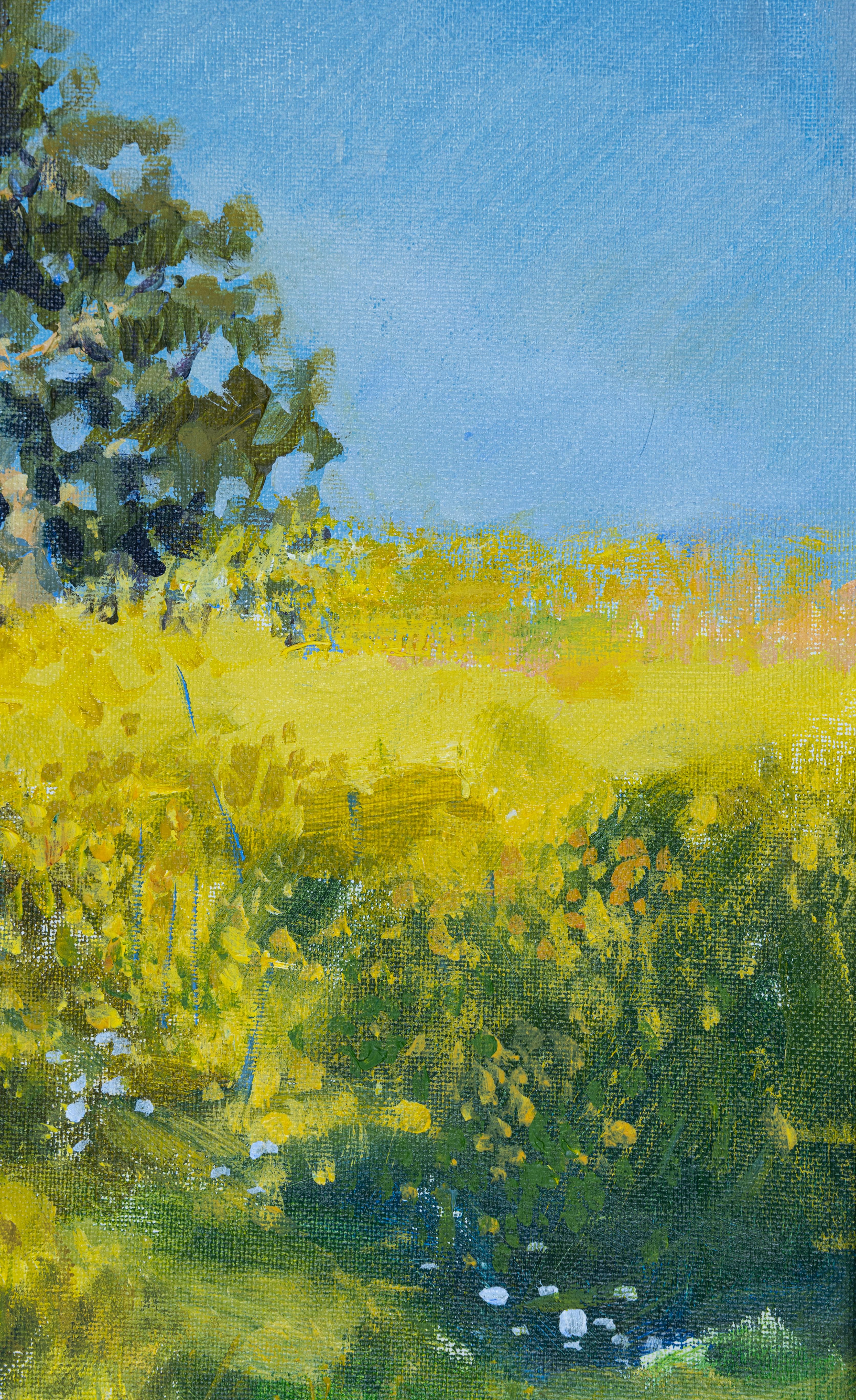 Sunny Day. Landscape acrylic. Yellow flowers, tree. California. Impressionism. For Sale 1
