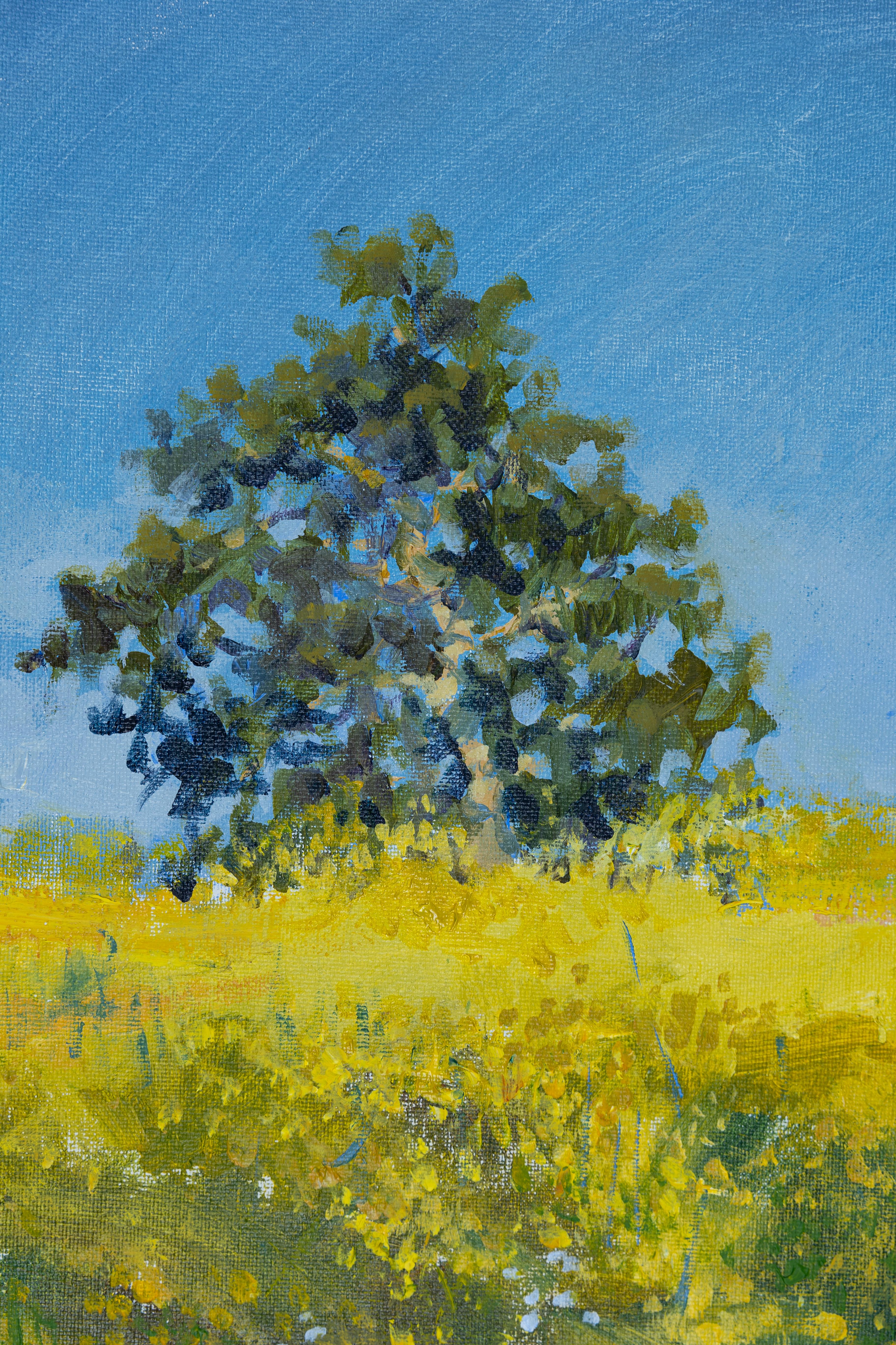 Giornata di sole. Paesaggio acrilico. Fiori gialli, albero. California. Impressionismo. in vendita 1