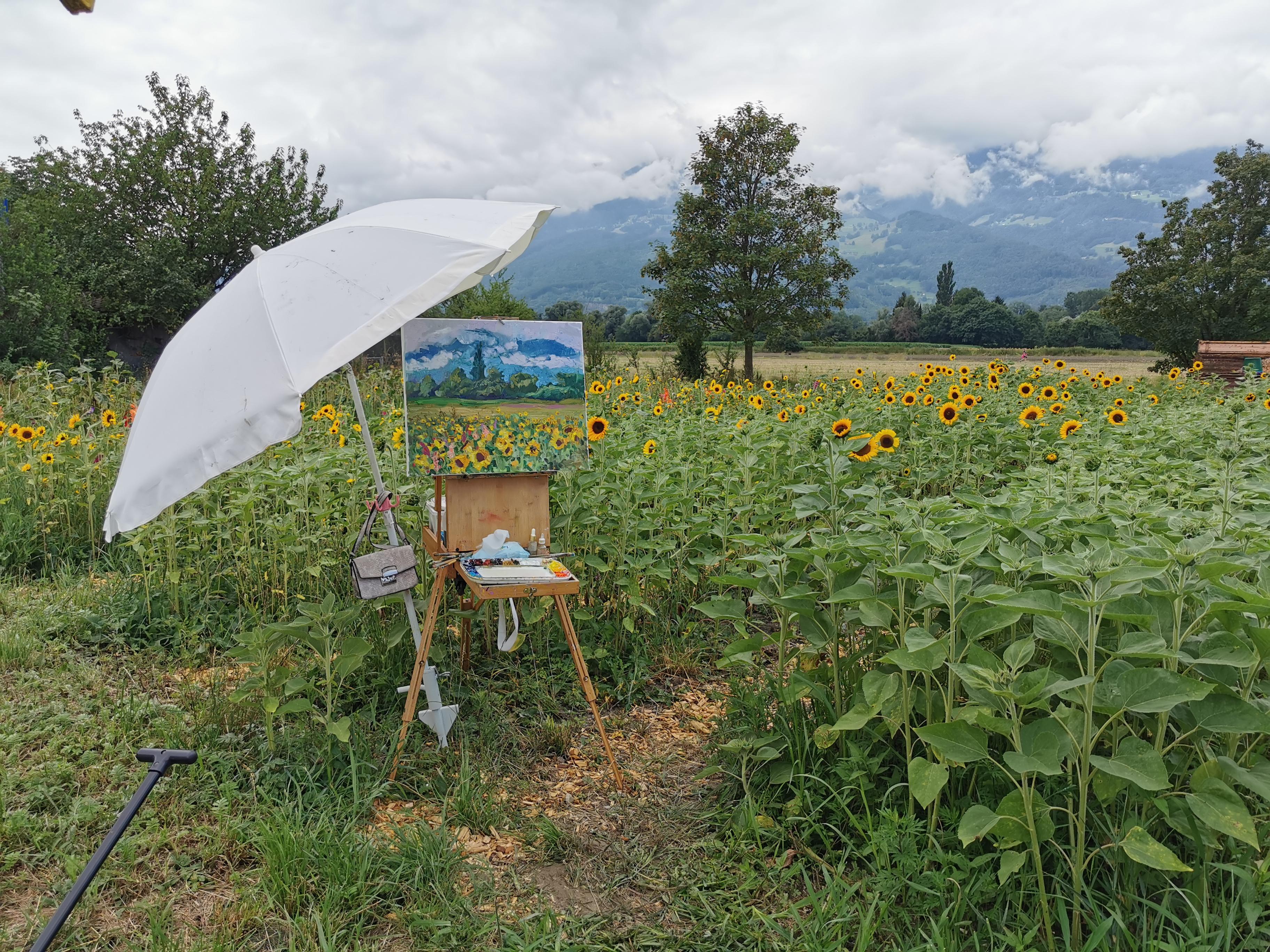 Sunny Joy. Landscape oil painting with flowers, mountains. Impressionism For Sale 11