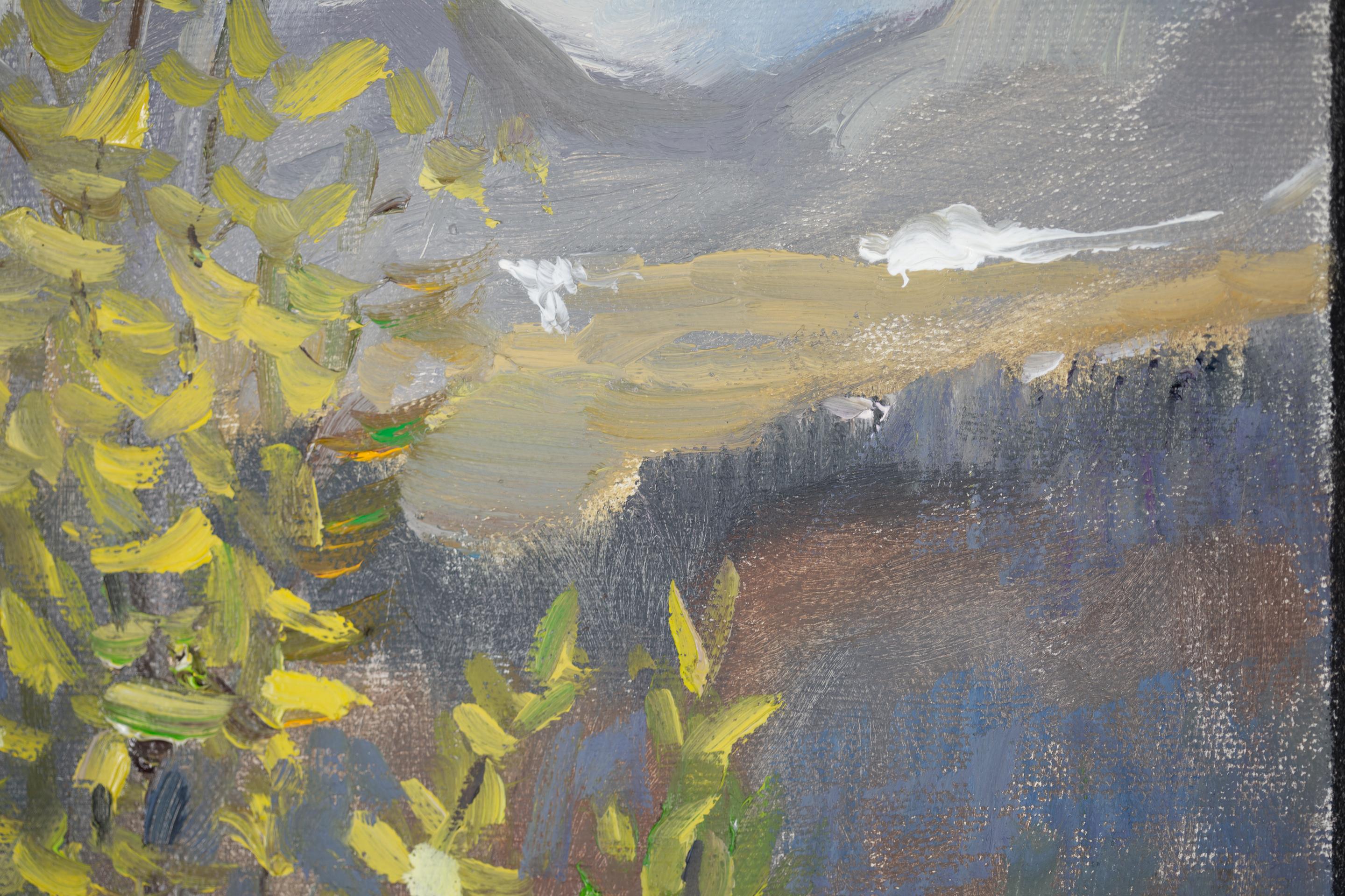 The Tenderness of the First Leaves. Nature, lake, tree, spring, mountains For Sale 12