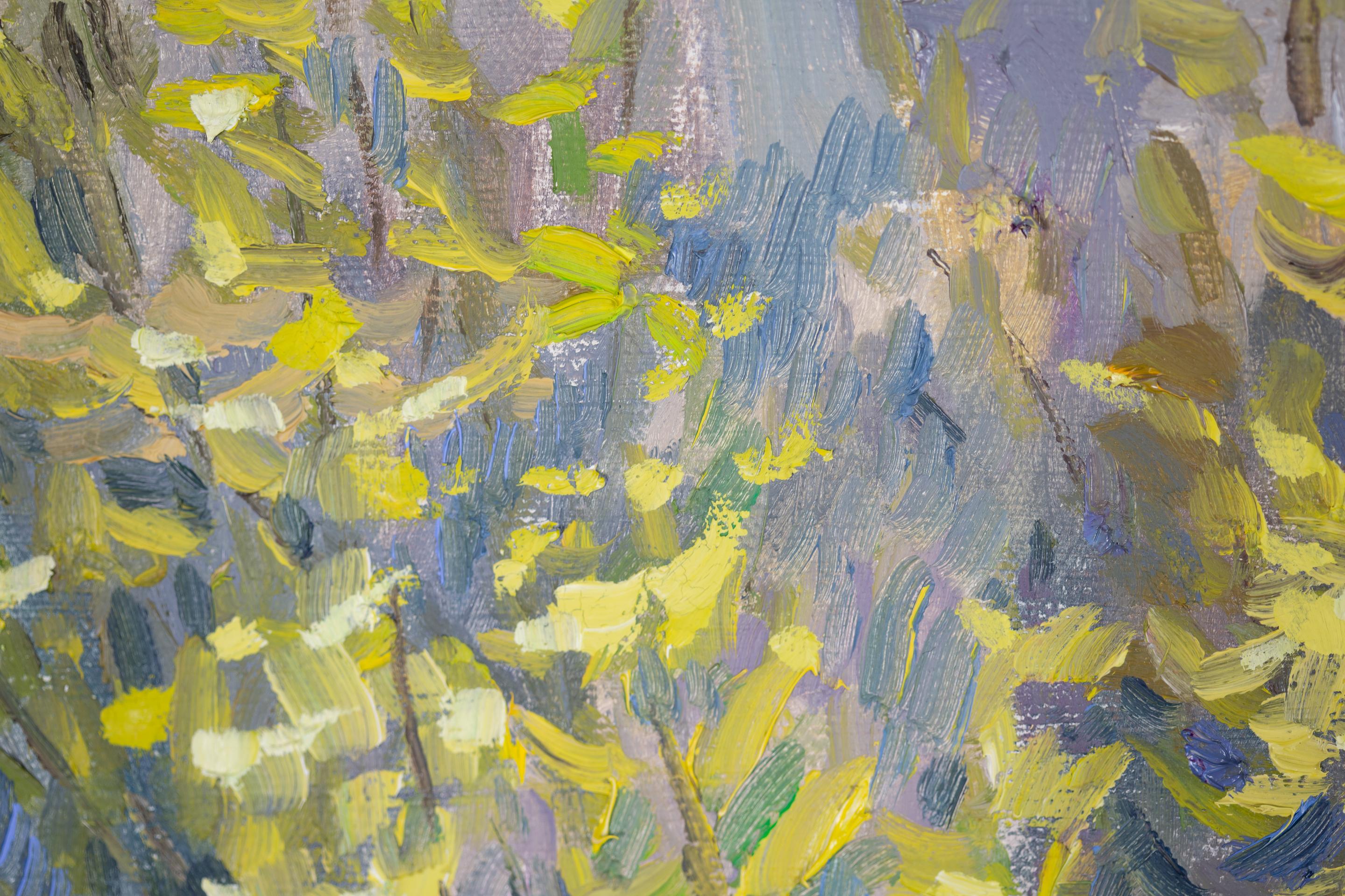 The Tenderness of the First Leaves. Nature, lake, tree, spring, mountains For Sale 3