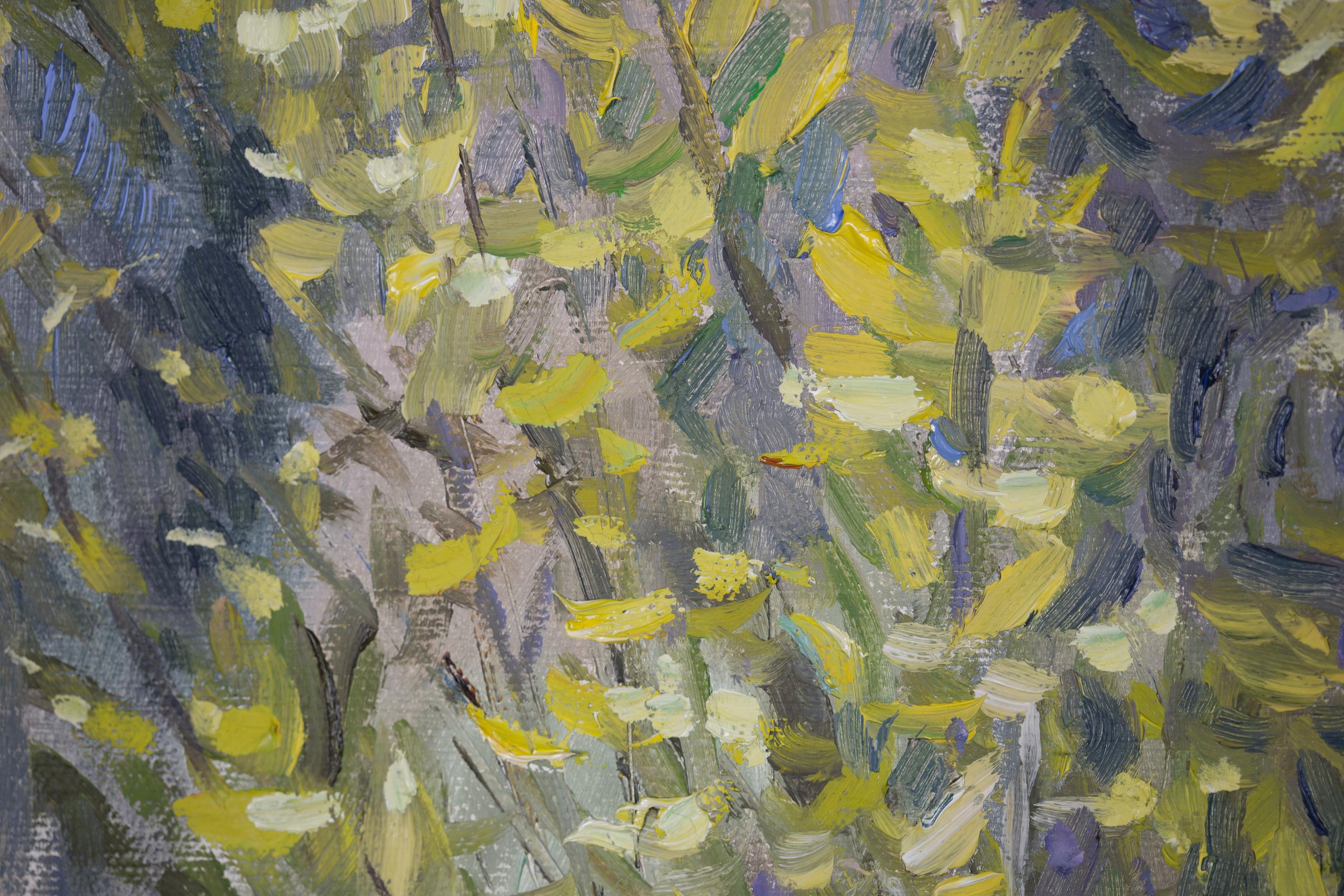 The Tenderness of the First Leaves. Nature, lake, tree, spring, mountains For Sale 4