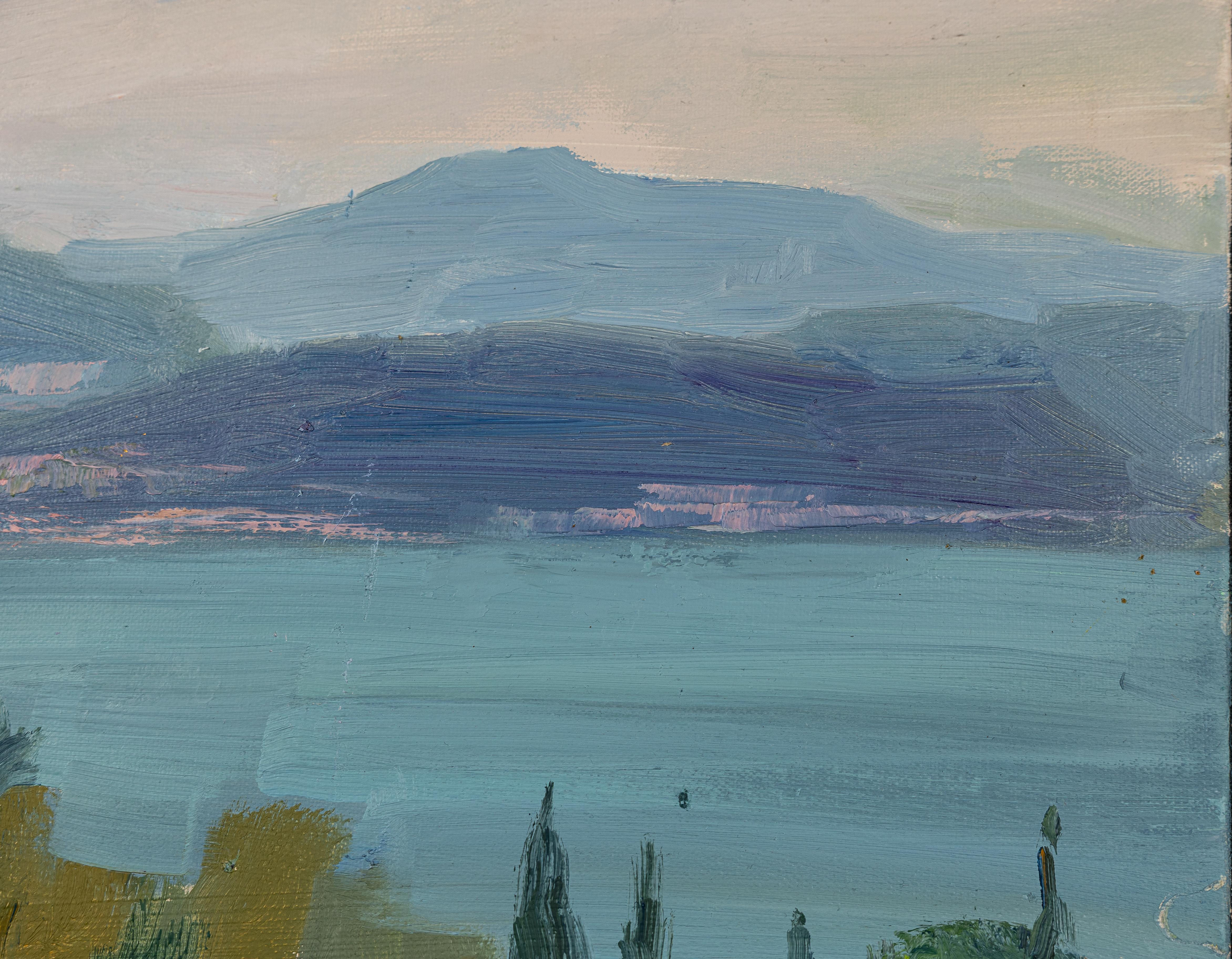 View of Lake Garda. Landscape in oil, post-impressionism. Nature, Lake, Italy For Sale 2