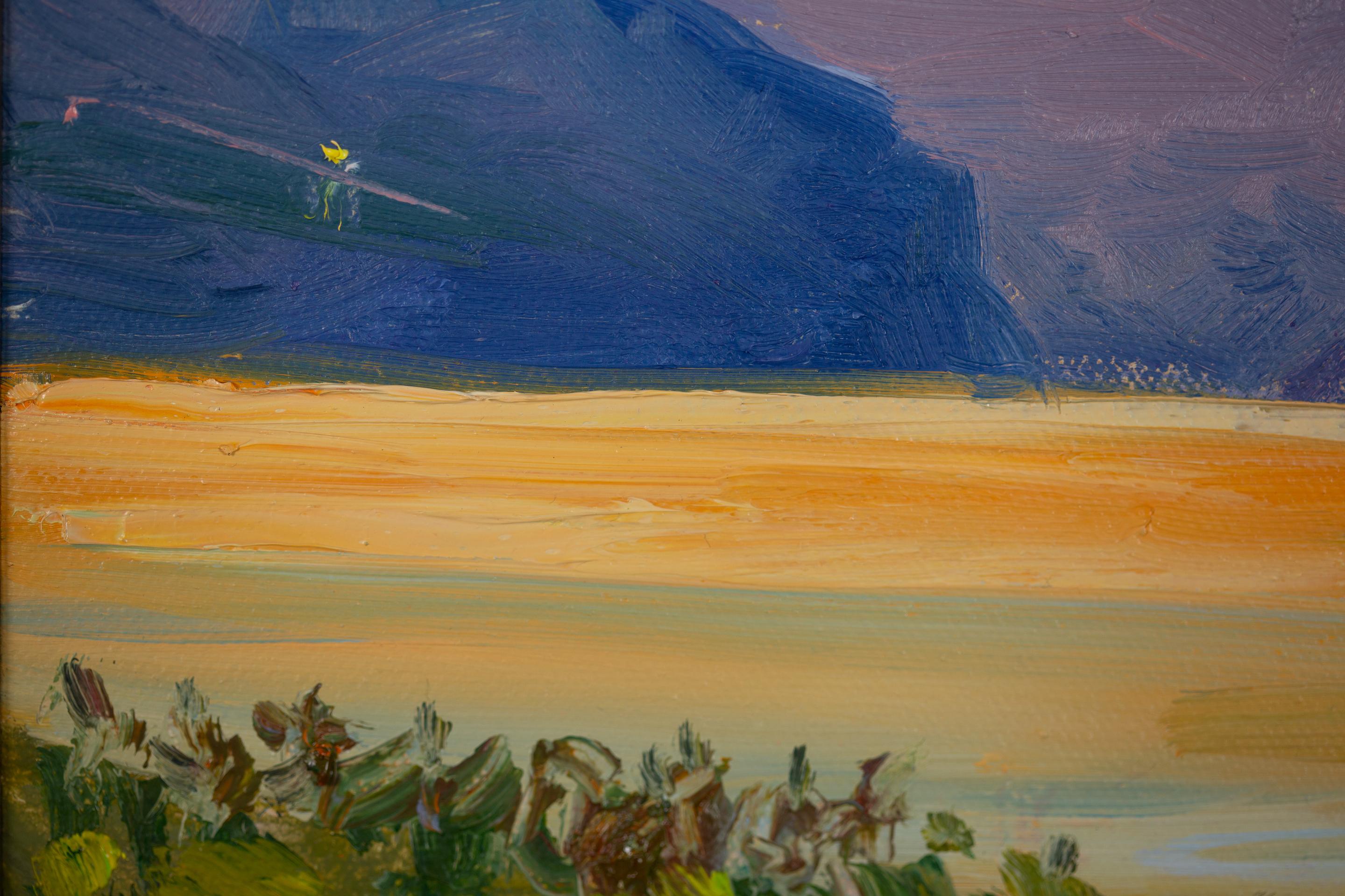 Walensee. Sunset.  Small format, horizontal, lake, mountains, Switzerland For Sale 9