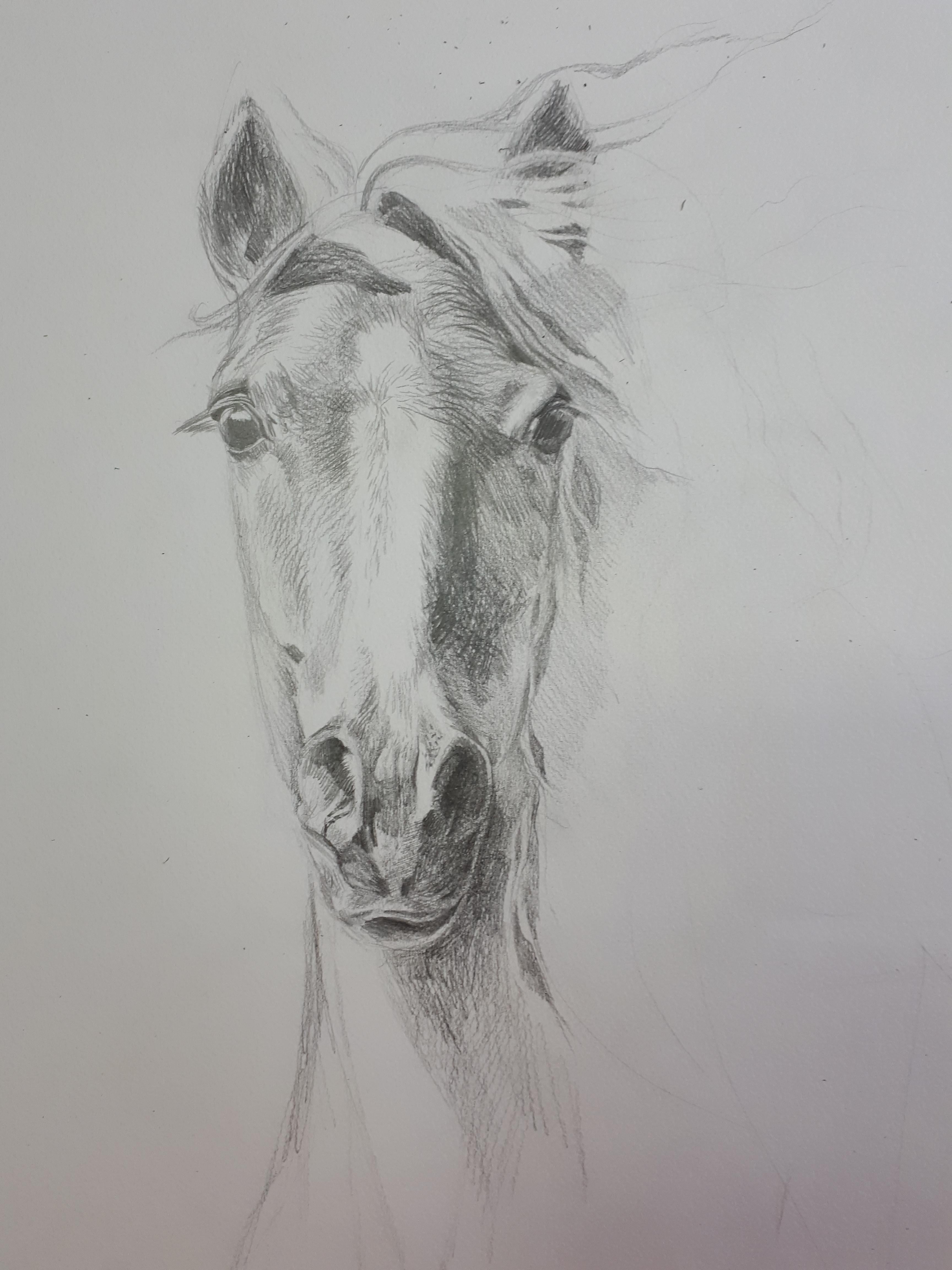 Weißes Pferd. Pferdemalerei, Acryl, vertikal, Pferd, Tier im Angebot 9